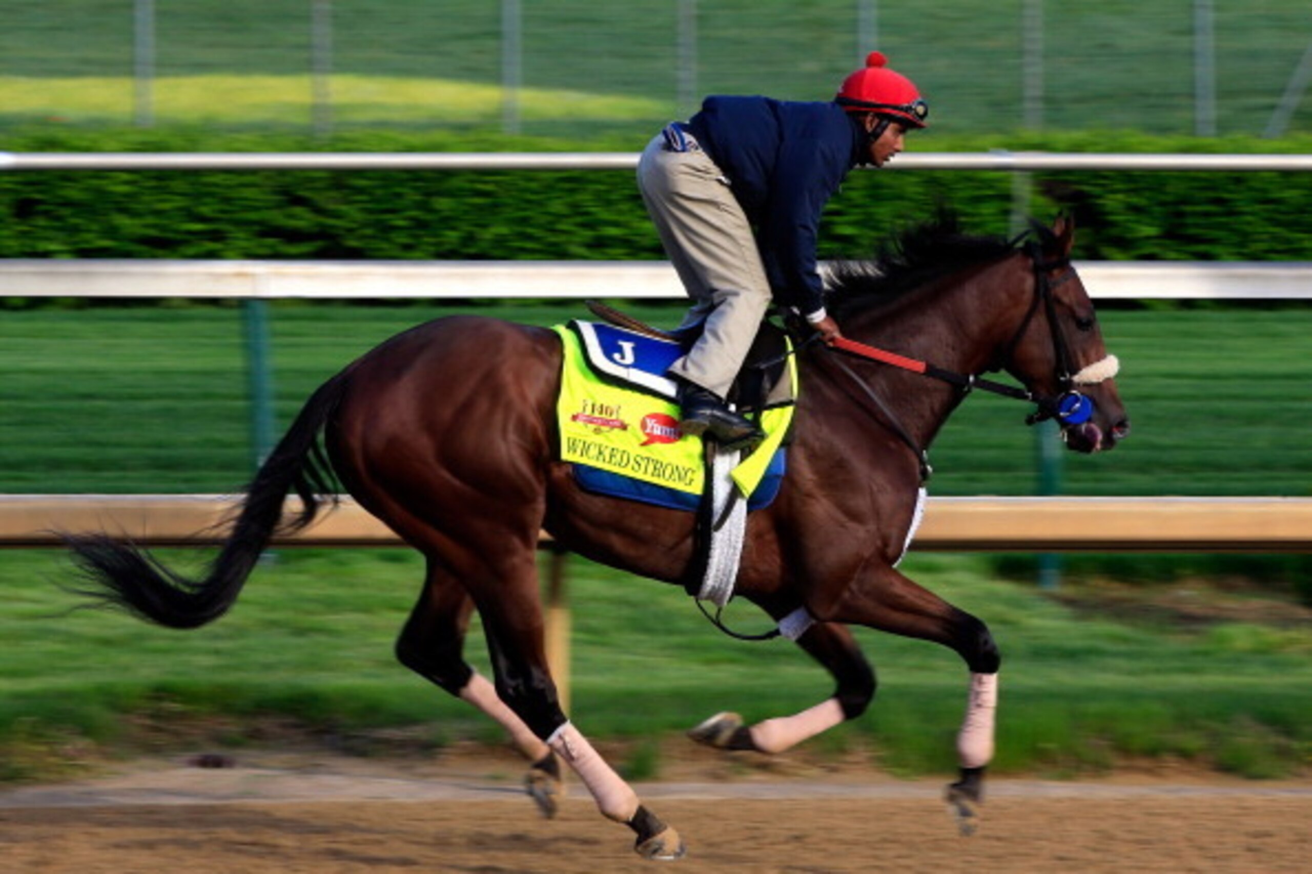 LOUISVILLE, KY - MAY 01:  Kentucky Derby contender Wicked Strong works out on the track during early morning workouts at Churchill Downs on May 1, 2014 in Louisville, Kentucky.  (Photo by Jamie Squire/Getty Images)