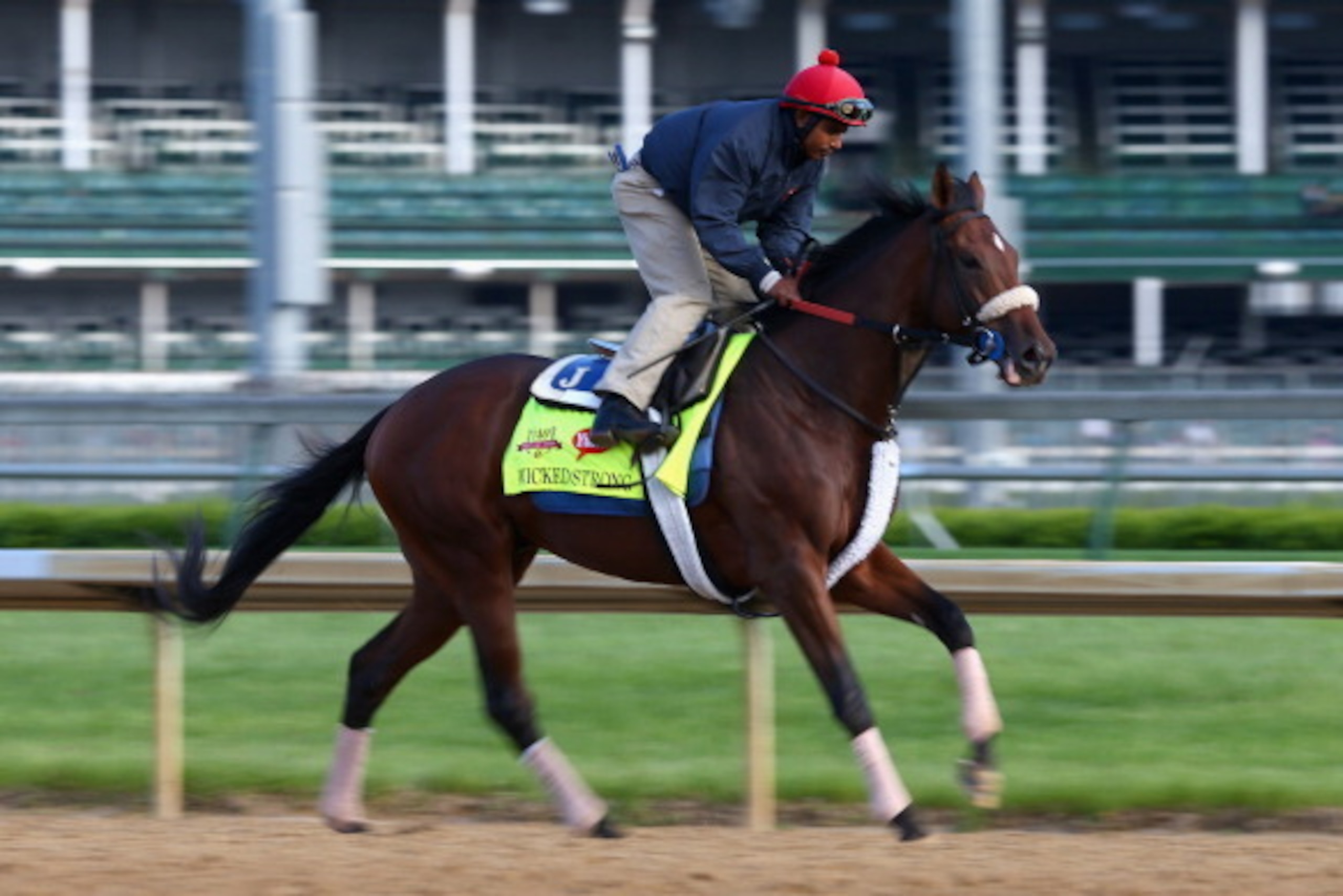 LOUISVILLE, KY - MAY 01:  Wicked Strong runs on the track during the morning training for the Kentucky Derby at Churchill Downs on May 1, 2014 in Louisville, Kentucky.  (Photo by Andy Lyons/Getty Images)