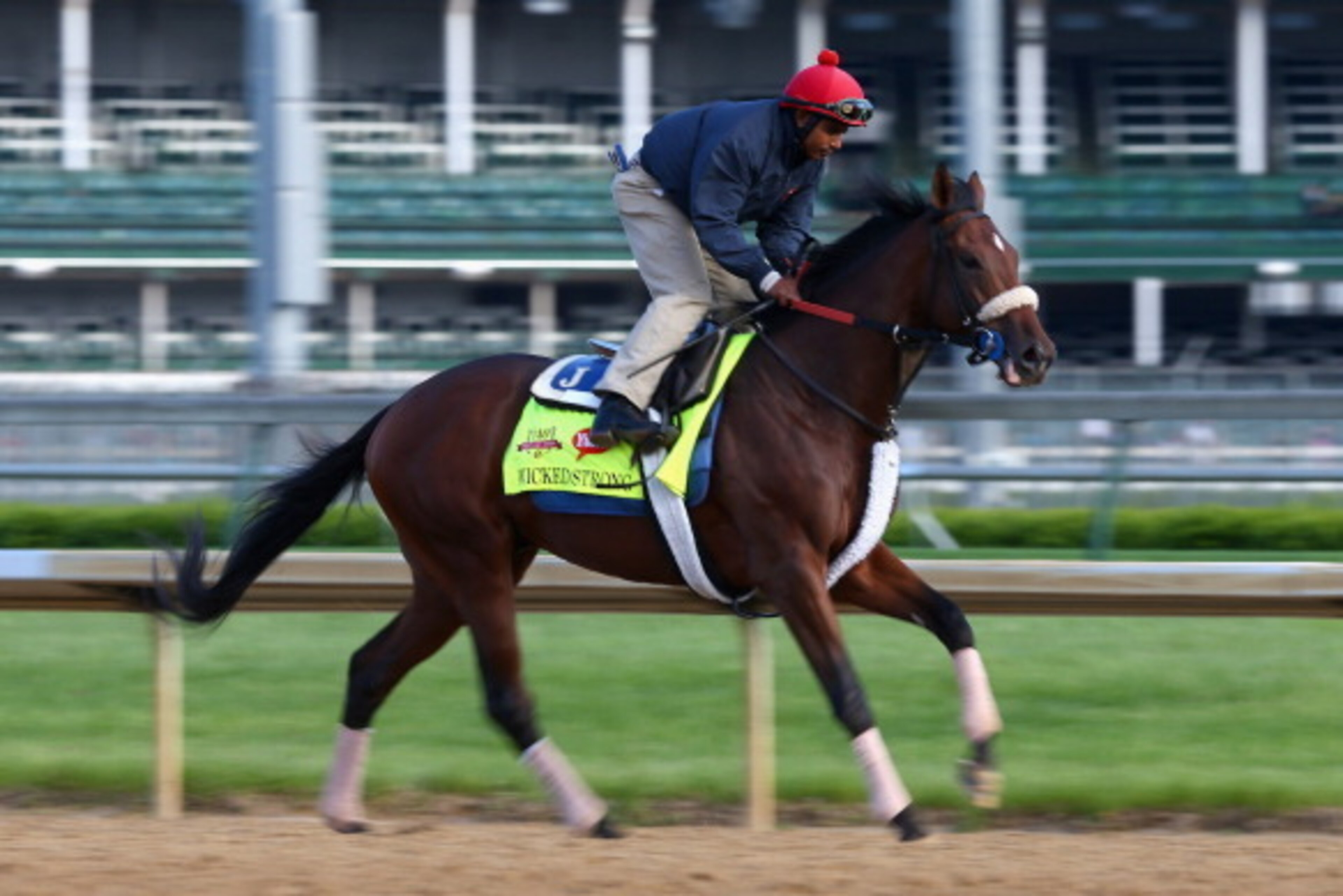 LOUISVILLE, KY - MAY 01:  Wicked Strong runs on the track during the morning training for the Kentucky Derby at Churchill Downs on May 1, 2014 in Louisville, Kentucky.  (Photo by Andy Lyons/Getty Images)