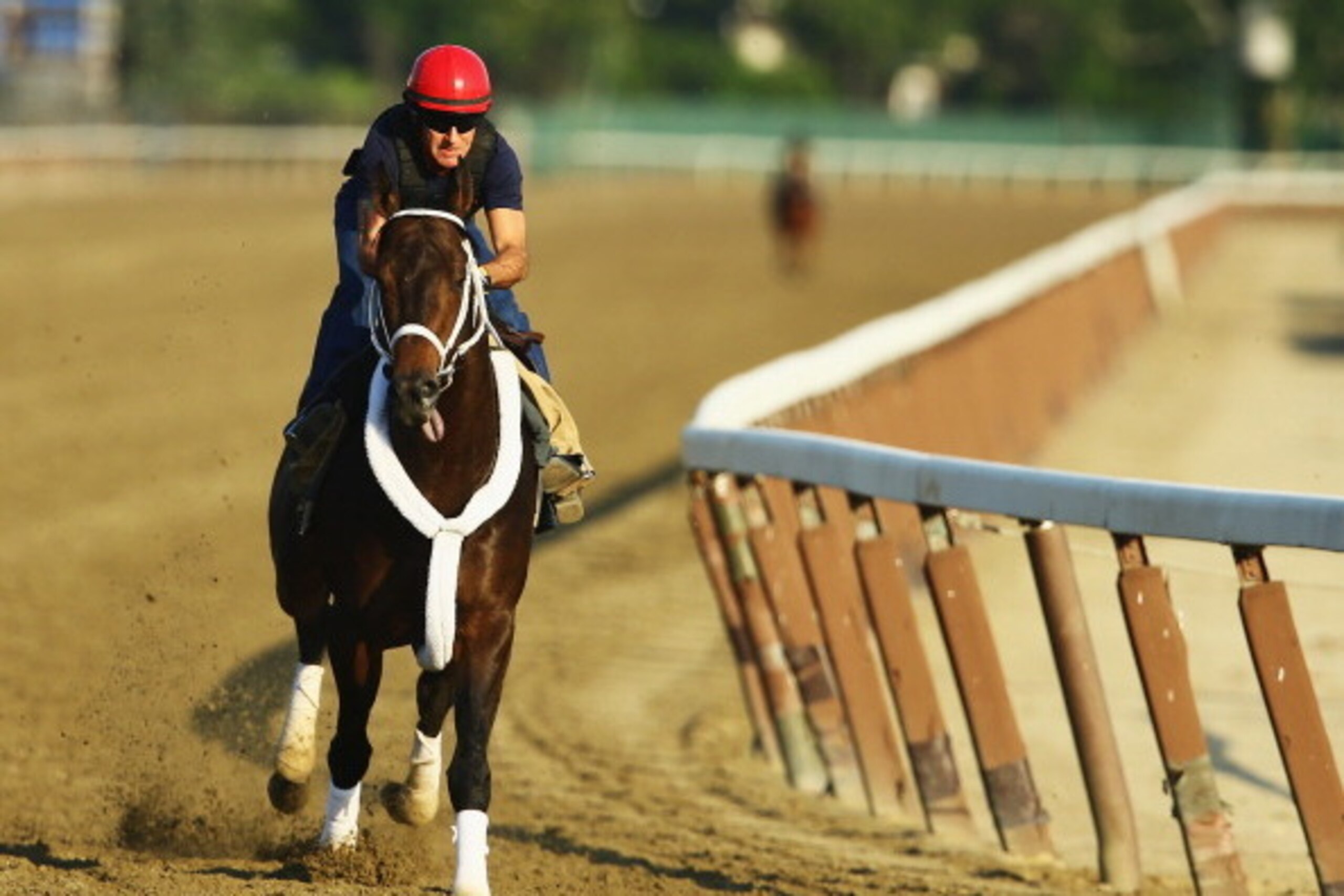 ELMONT, NY - JUNE 03:  Ride On Curlin with exercise rider Bryan Baccia up, trains on the main track at Belmont Park on June 3, 2014 in Elmont, New York. He is scheduled to race  in the 146th running of the Belmont Stakes  (Photo by Al Bello/Getty Images)