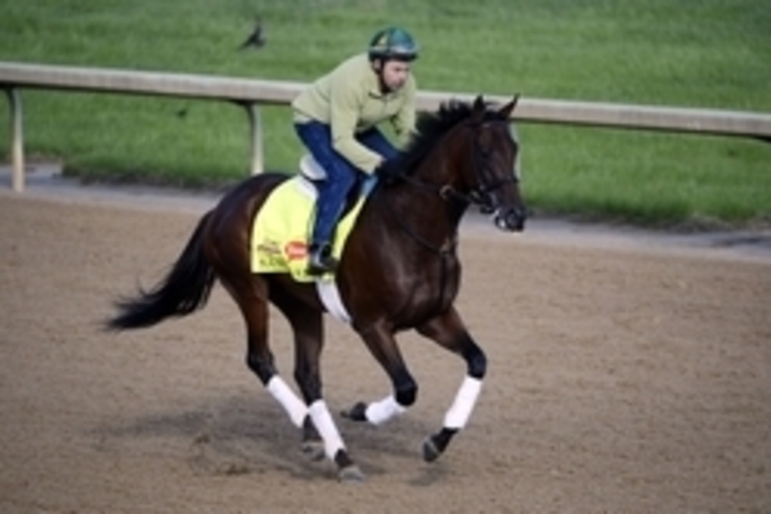May 1, 2014; Louisville, KY, USA; Exercise rider Simon Paine works out Kentucky Derby hopeful Samraat during morning workouts at Churchill Downs. Mandatory Credit: Jamie Rhodes-USA TODAY Sports