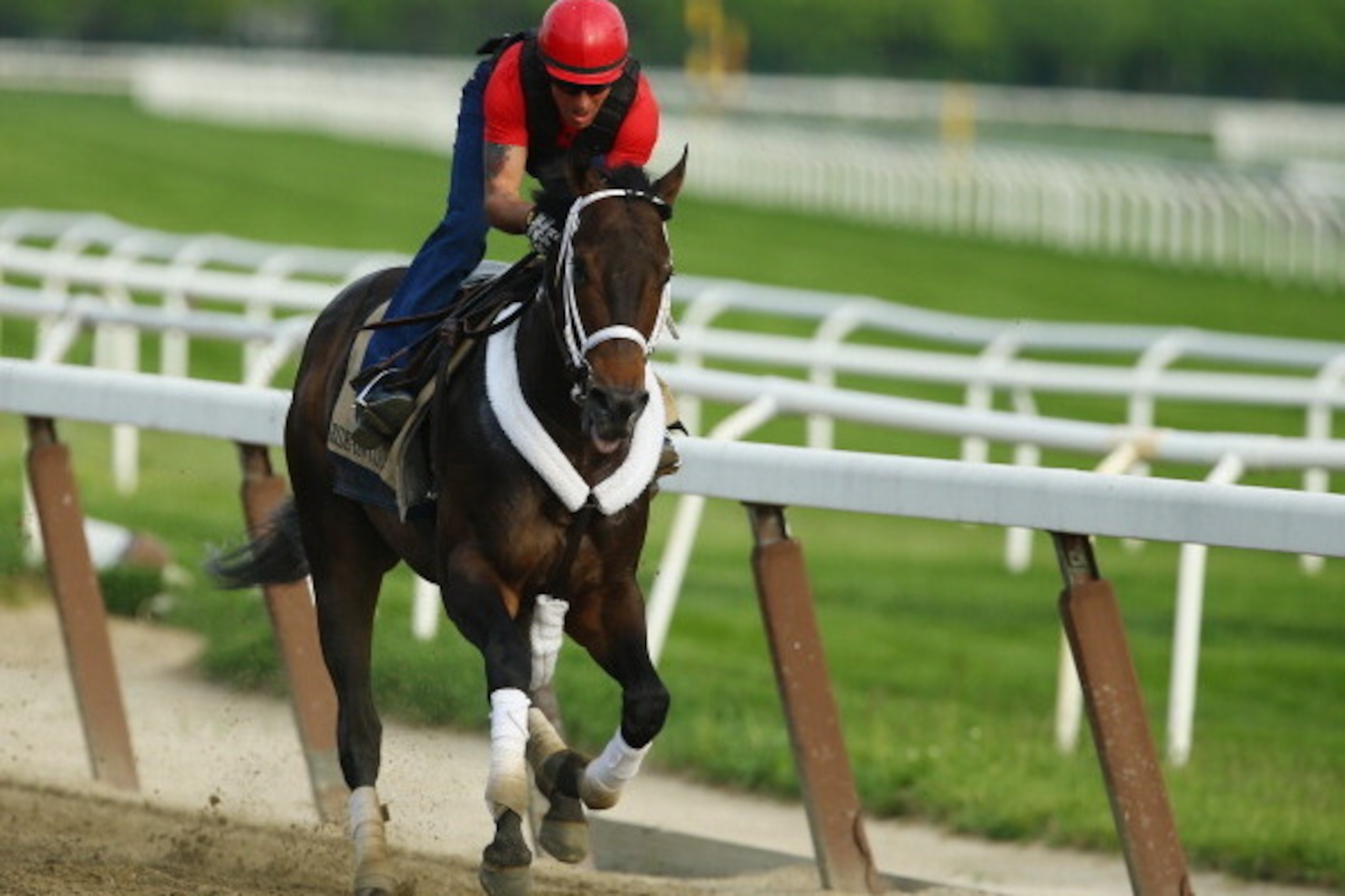 ELMONT, NY - MAY 27:  Ride On Curlin with exercise rider Bryan Baccia up, trains on the main track at Belmont Park on May 27, 2014 in Elmont, New York.  (Photo by Al Bello/Getty Images)