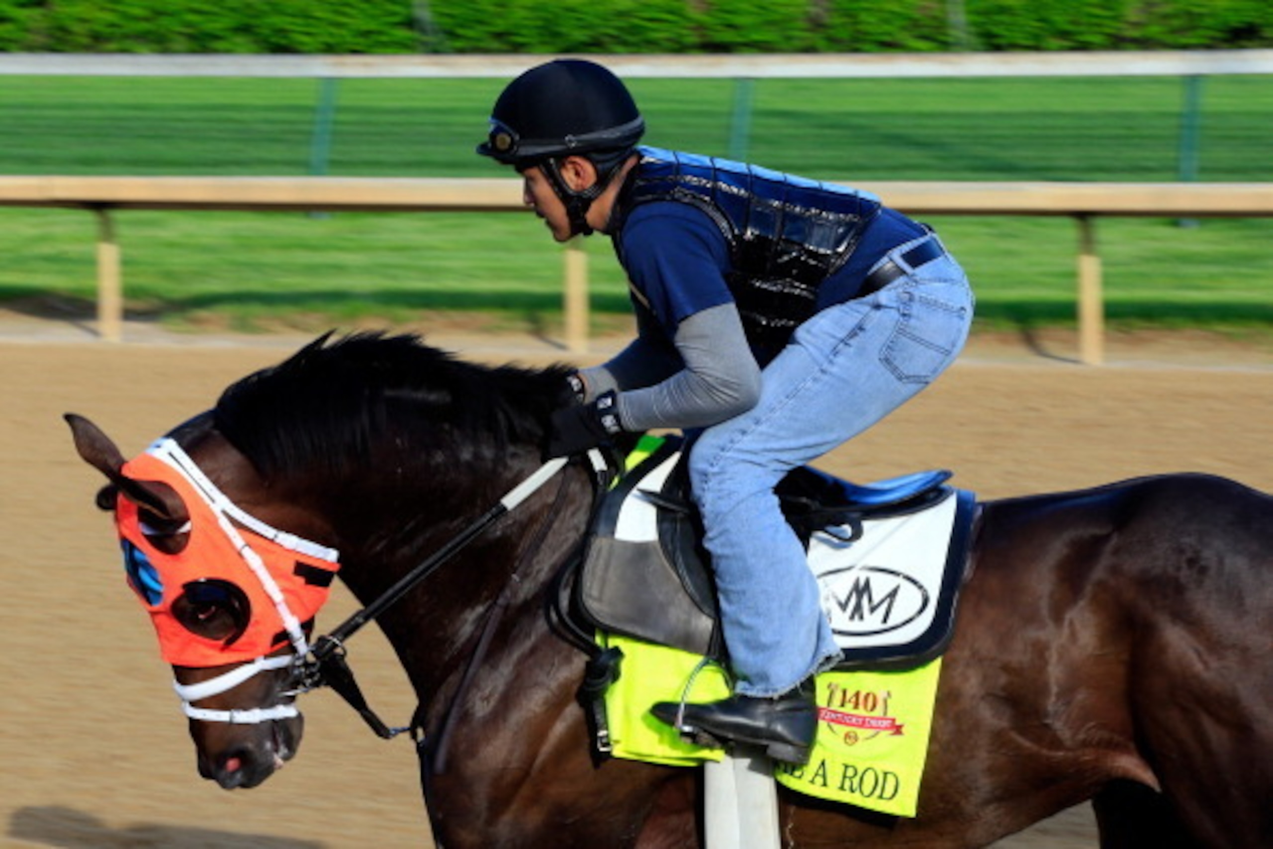 LOUISVILLE, KY - MAY 01:  Kentucky Derby contender General A Rod works out on the track during early morning workouts at Churchill Downs on May 1, 2014 in Louisville, Kentucky.  (Photo by Jamie Squire/Getty Images)