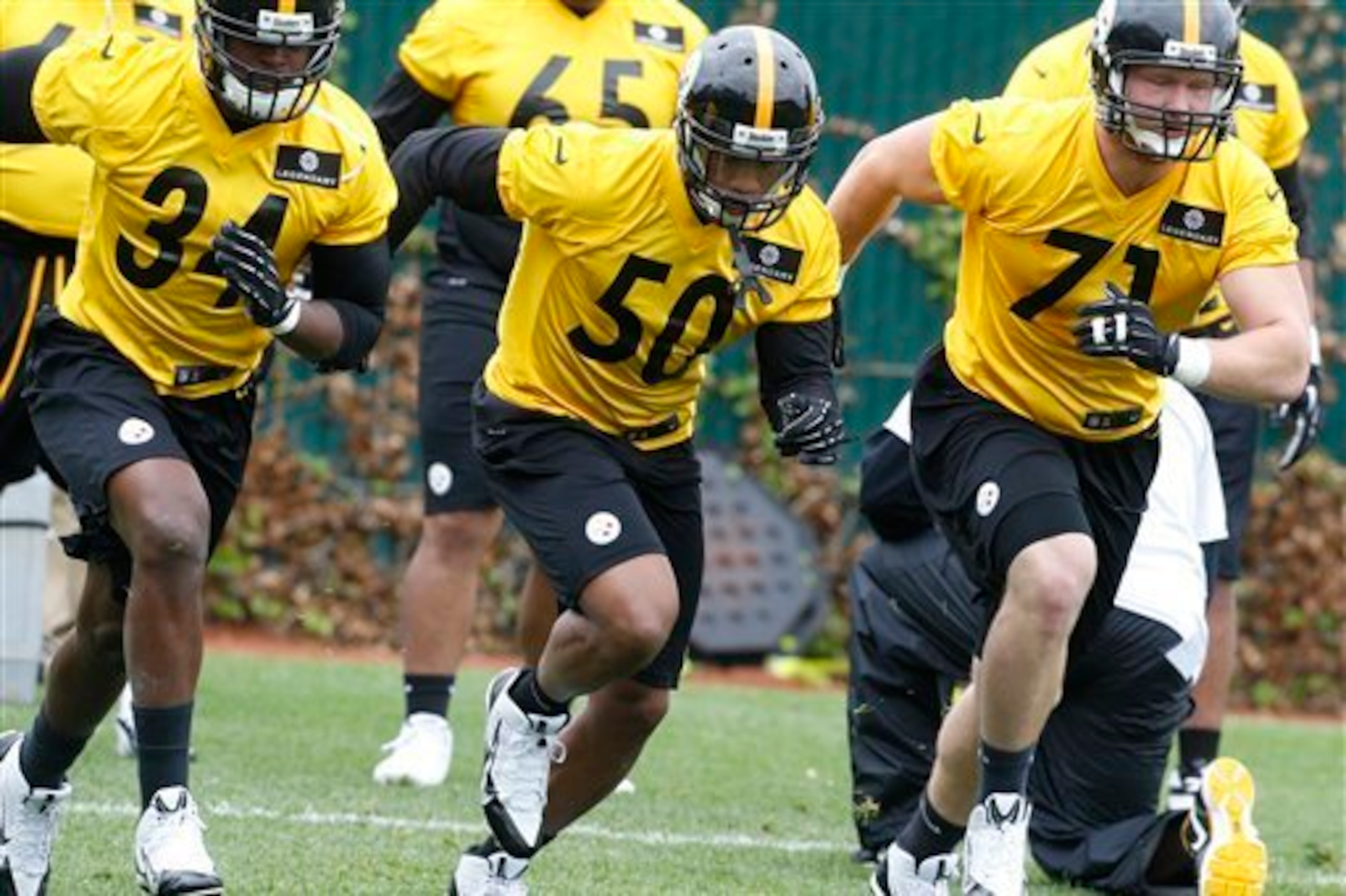 Shazier (50) has been putting to rest any concerns about the Steelers drafting him. Shazier (50) has been putting to rest any concerns about the Steelers drafting him.