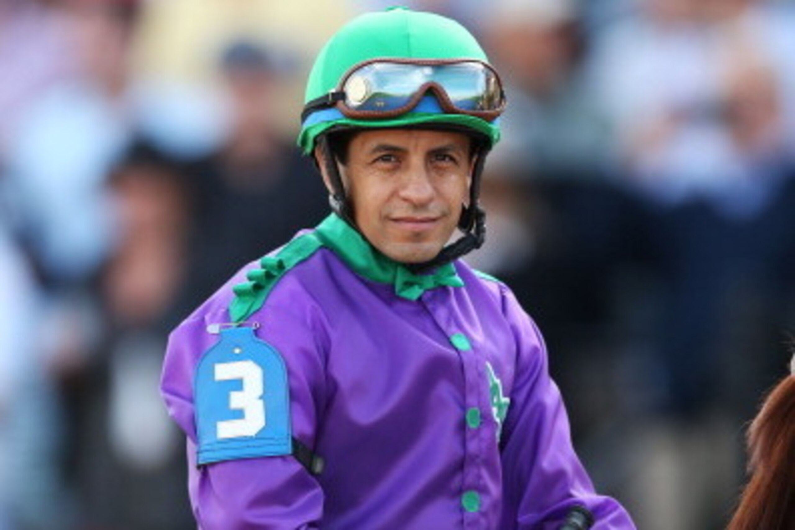 BALTIMORE, MD - MAY 17:  California Chrome #3 with Victor Espinoza in the saddle, is lead to the track before the start of the 139th running of the Preakness Stakes at Pimlico Race Course on May 17, 2014 in Baltimore, Maryland.  (Photo by Matthew Stockman