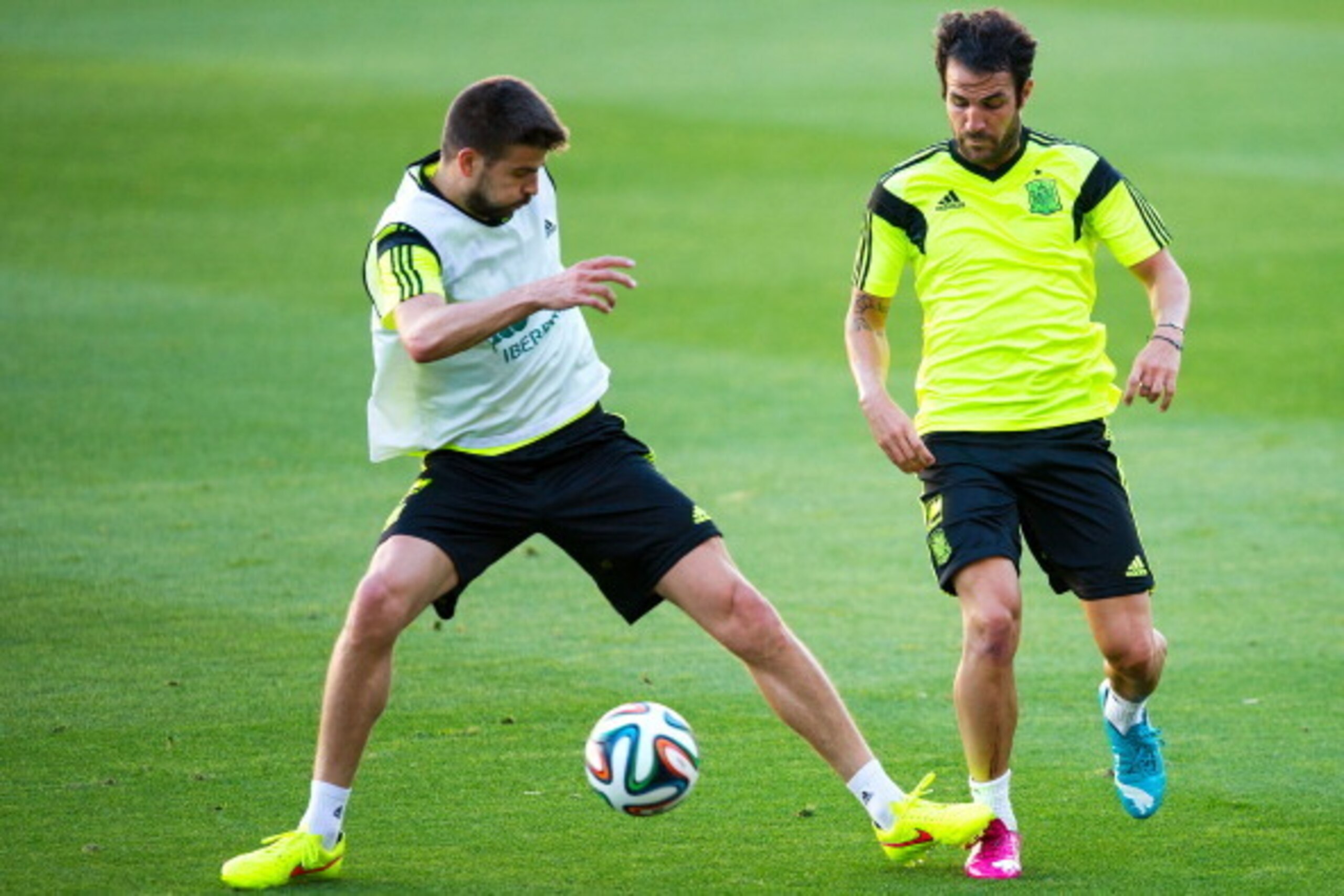 SEVILLE, SPAIN - MAY 29:  Gerard Pique  (L) duels for the ball with Cesc Fabregas of Spain during a training session ahead of their international friendly match against Bolivia at the Ramon Sanchez Pizjuan stadium on May 29, 2014 in Seville, Spain.  (Phot