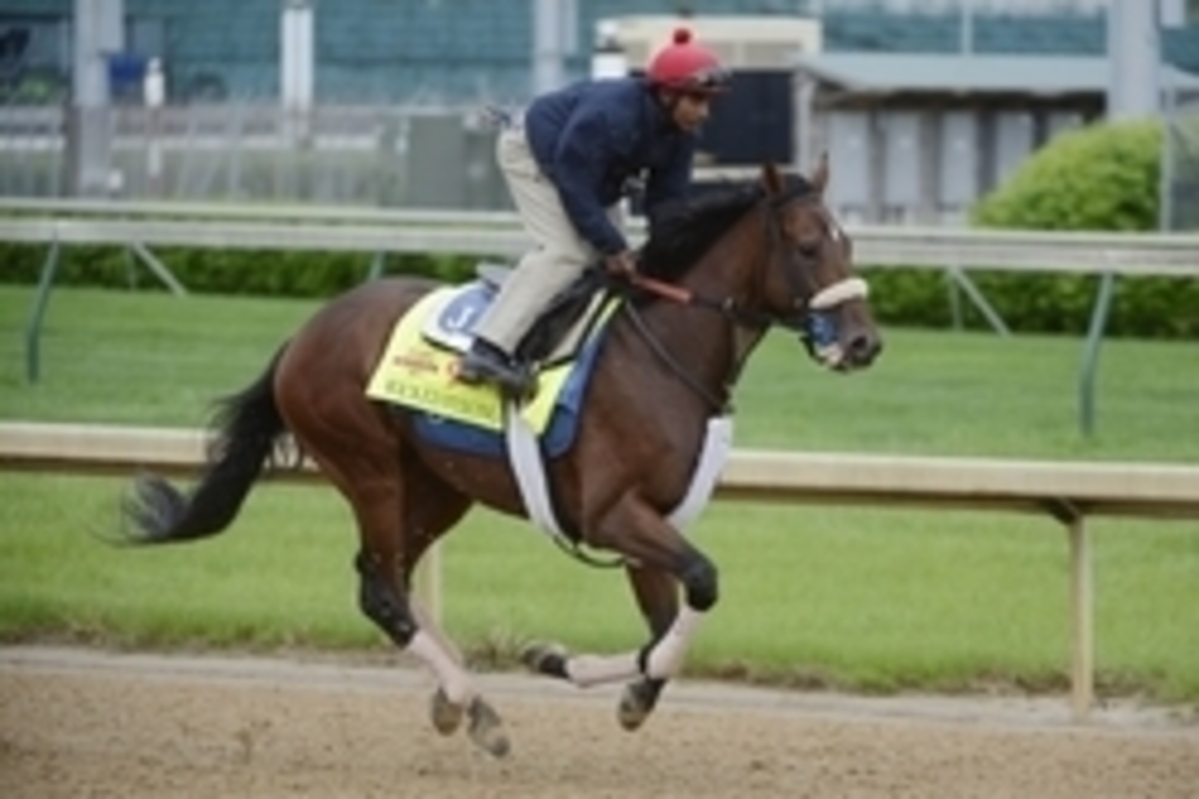 Apr 30, 2014; Louisville, KY, USA; Exercise rider Kelvin Pahal works out Kentucky Derby hopeful Wicked Strong on the track during morning workouts at Churchill Downs. Mandatory Credit: Jamie Rhodes-USA TODAY Sports Apr 30, 2014; Louisville, KY, USA; Exercise rider Kelvin Pahal works out Kentucky Derby hopeful Wicked Strong on the track during morning workouts at Churchill Downs. Mandatory Credit: Jamie Rhodes-USA TODAY Sports
