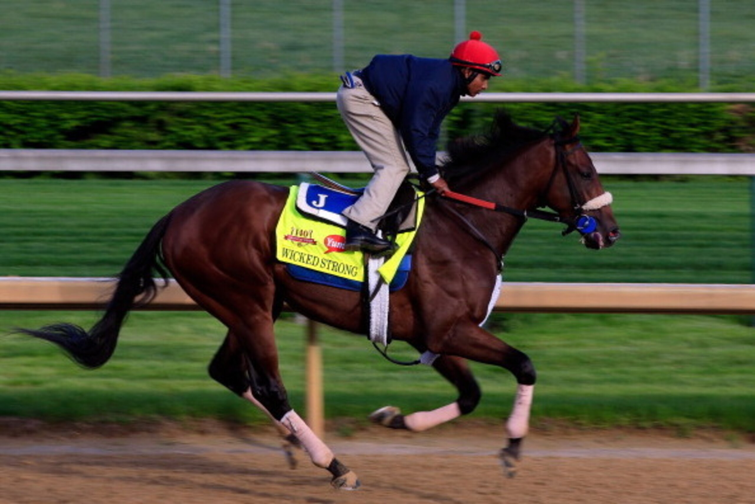 LOUISVILLE, KY - MAY 01:  Kentucky Derby contender Wicked Strong works during early morning workouts at Churchill Downs on May 1, 2014 in Louisville, Kentucky.  (Photo by Jamie Squire/Getty Images)