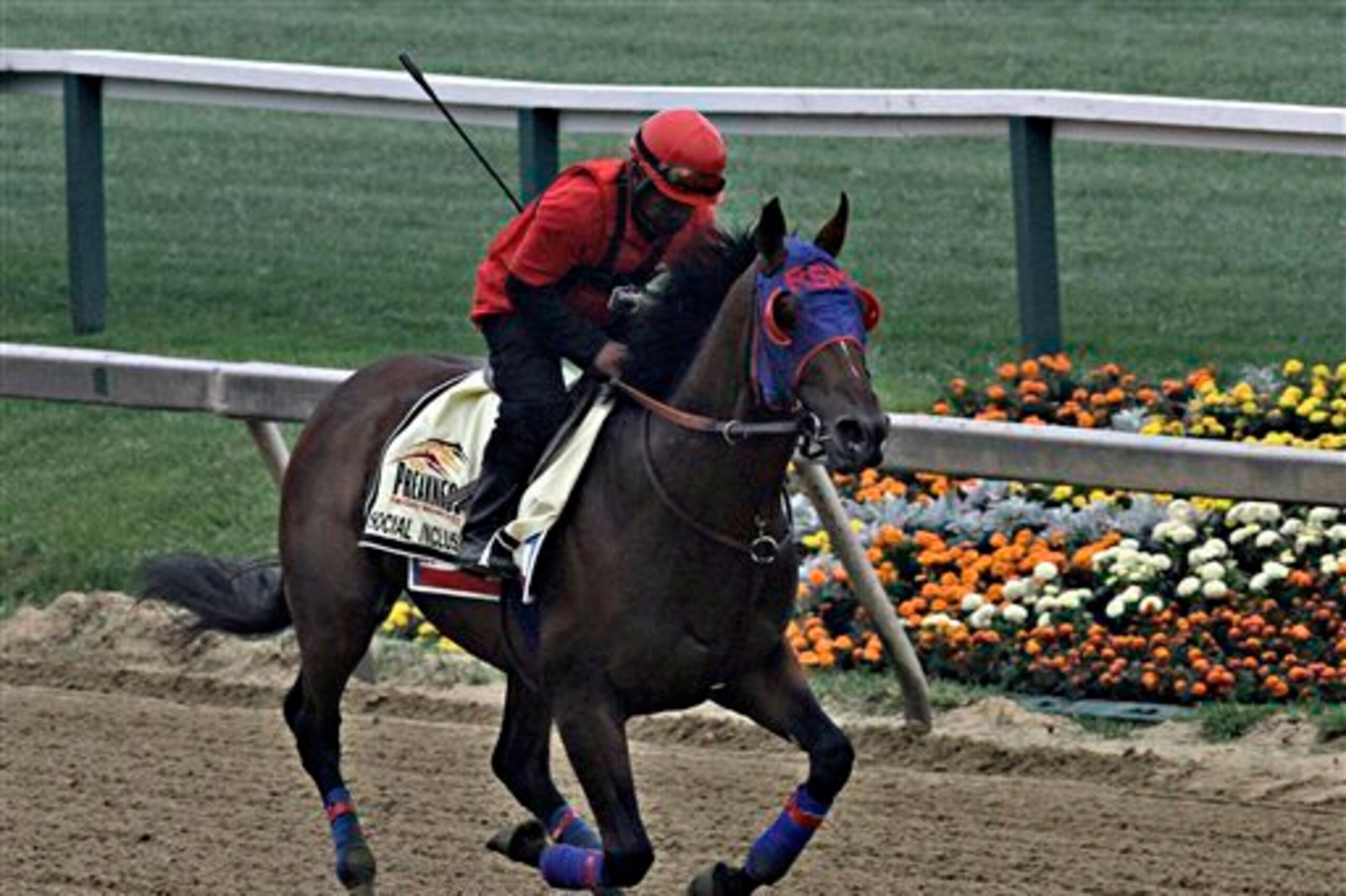 Social Inclusion practices at the Preakness.