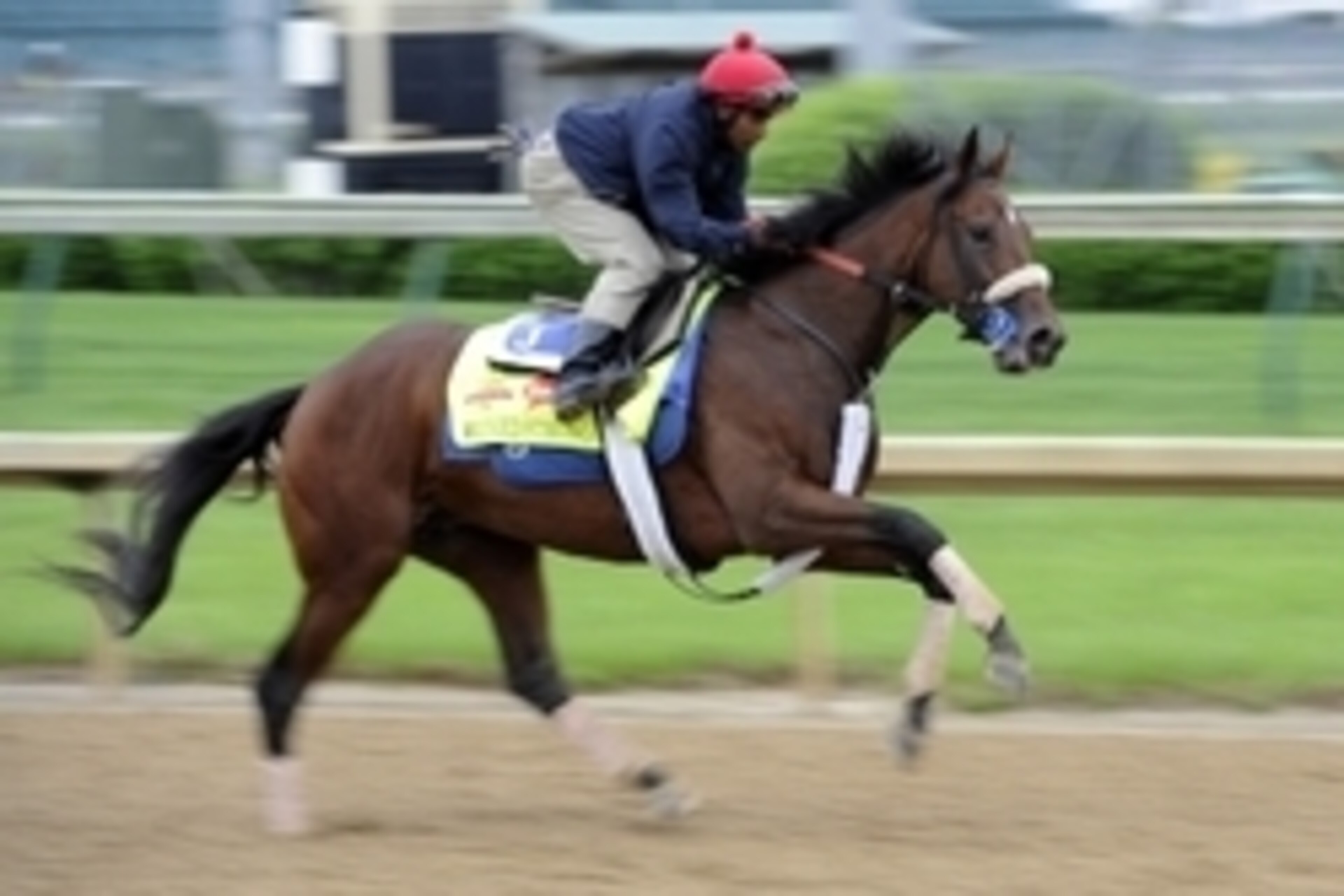 Apr 30, 2014; Louisville, KY, USA; Exercise rider Kelvin Pahal works out Kentucky Derby hopeful Wicked Strong on the track during morning workouts at Churchill Downs. Mandatory Credit: Jamie Rhodes-USA TODAY Sports