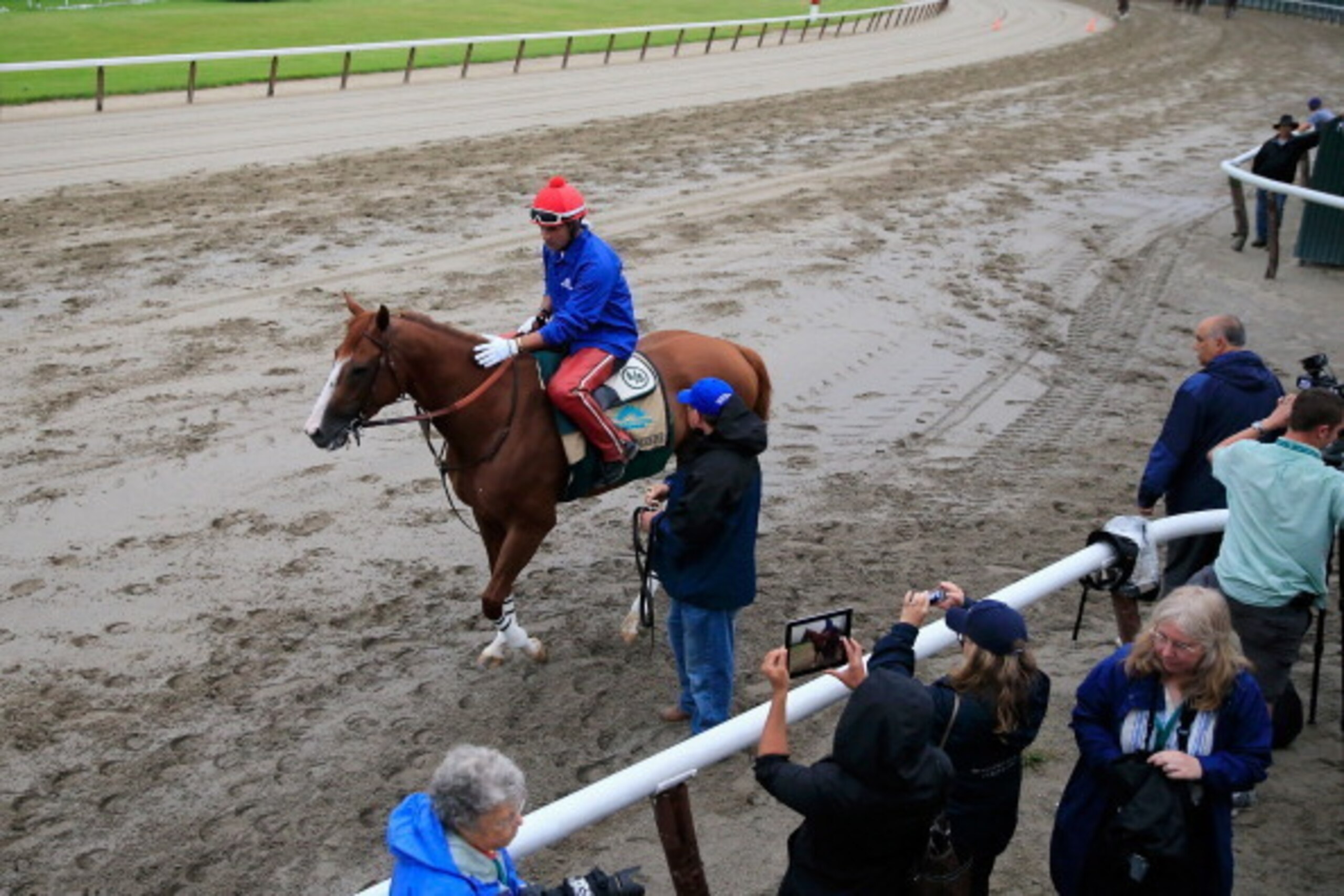 ELMONT, NY - JUNE 05:  Assistant trainer Alan Sherman leads Kentucky Derby and Preakness winner California Chrome, with exercise rider Willie Delgado up, to the track in preparation for the 146th running of the Belmont Stakes at Belmont Park on June 5, 20
