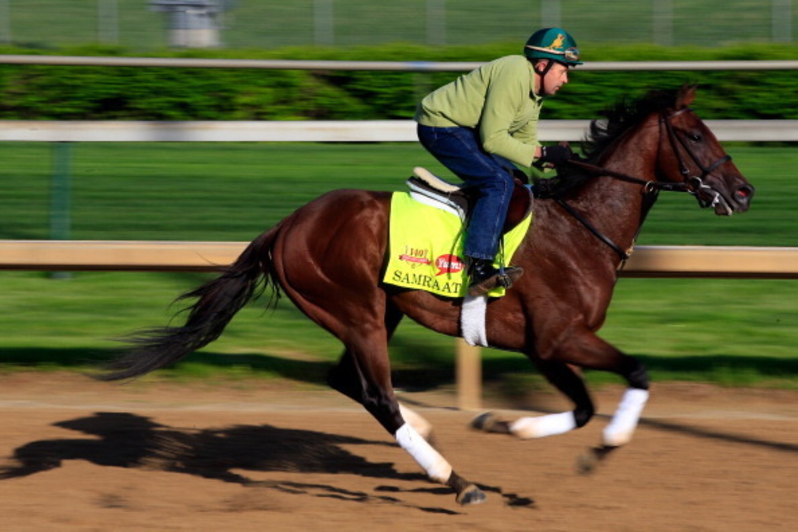 LOUISVILLE, KY - MAY 01: Kentucky Derby contender Samraat in action on the track during early morning workouts at Churchill Downs on May 1, 2014 in Louisville, Kentucky. (Photo by Jamie Squire/Getty Images) LOUISVILLE, KY - MAY 01: Kentucky Derby contender Samraat in action on the track during early morning workouts at Churchill Downs on May 1, 2014 in Louisville, Kentucky. (Photo by Jamie Squire/Getty Images)