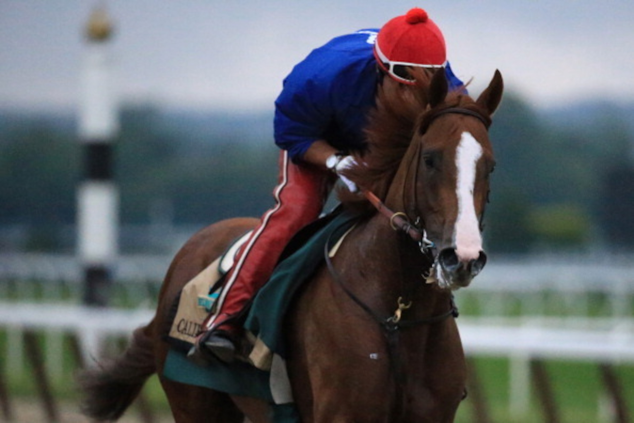 ELMONT, NY - JUNE 05: Kentucky Derby and Preakness winner California Chrome, with exercise rider Willie Delgado up, trains on the track for the 146th running of the Belmont Stakes at Belmont Park on June 5, 2014 in Elmont, New York. (Photo by Rob Carr/G ELMONT, NY - JUNE 05: Kentucky Derby and Preakness winner California Chrome, with exercise rider Willie Delgado up, trains on the track for the 146th running of the Belmont Stakes at Belmont Park on June 5, 2014 in Elmont, New York. (Photo by Rob Carr/G