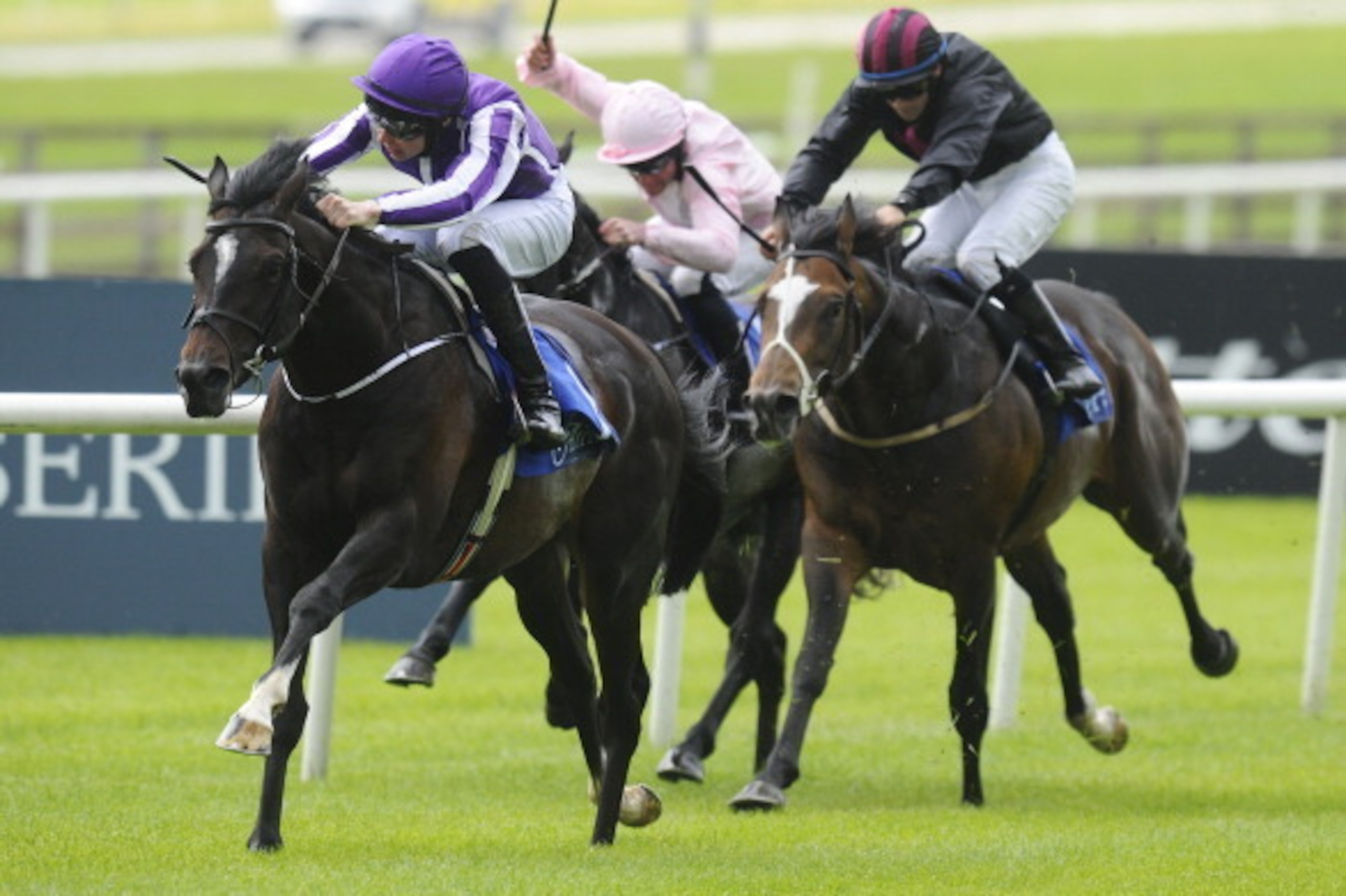 KILDARE, IRELAND - MAY 25:  Joseph O'Brien riding Adelaide win The Airlie Stud Gallinule Stakes at Curragh racecourse on May 25, 2014 in Kildare, Ireland. (Photo by Alan Crowhurst/Getty Images)
