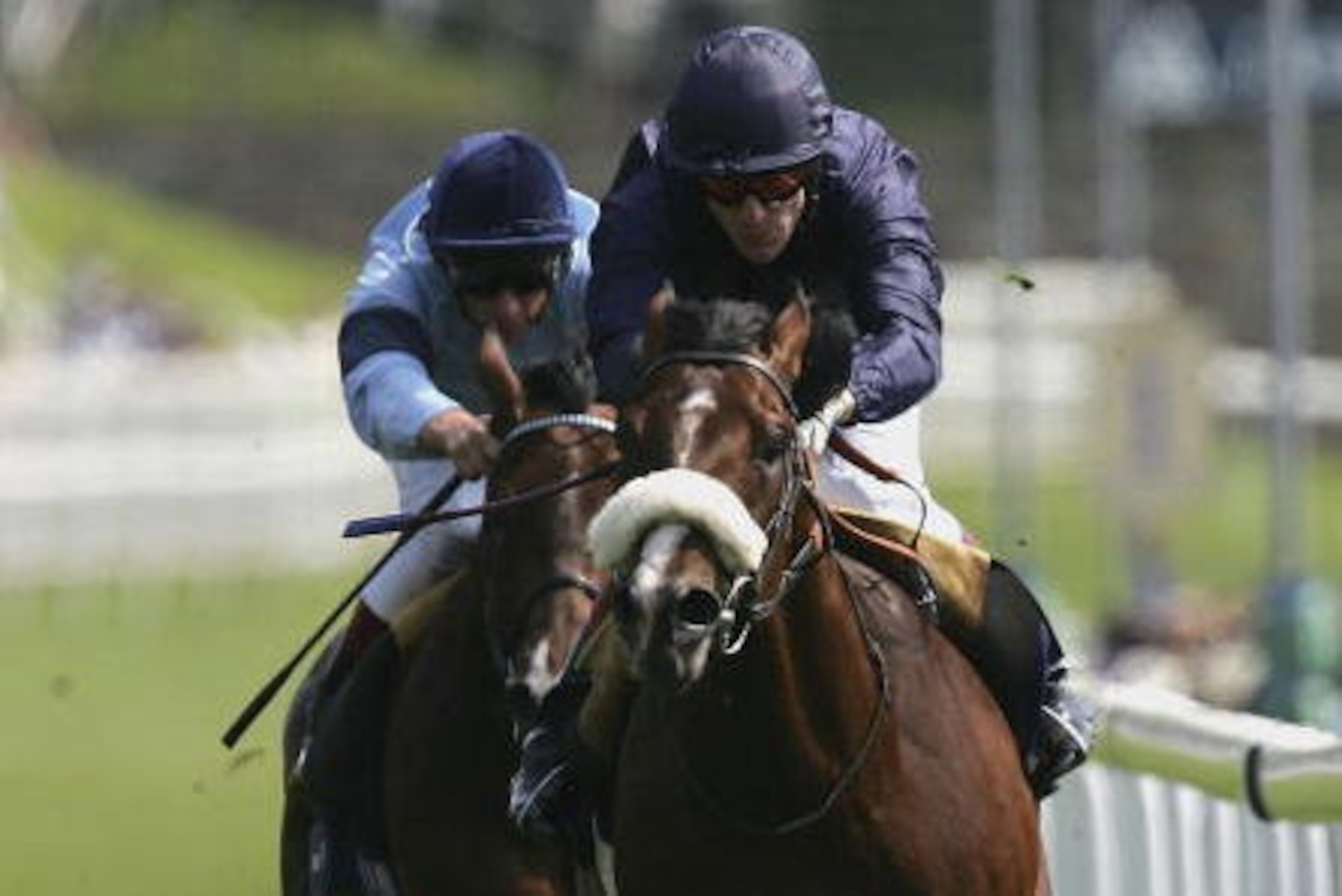 CHESTER, UNITED KINGDOM - MAY 11:  Papal Bull ridden by Keiron Fallon leads Primary ridden by Frankie Dettori as they win the MBNA Europe Bank Chester Vase race during the May Festival at Chester Racecourse on May 11, 2006 in Chester, England.  (Photo by 