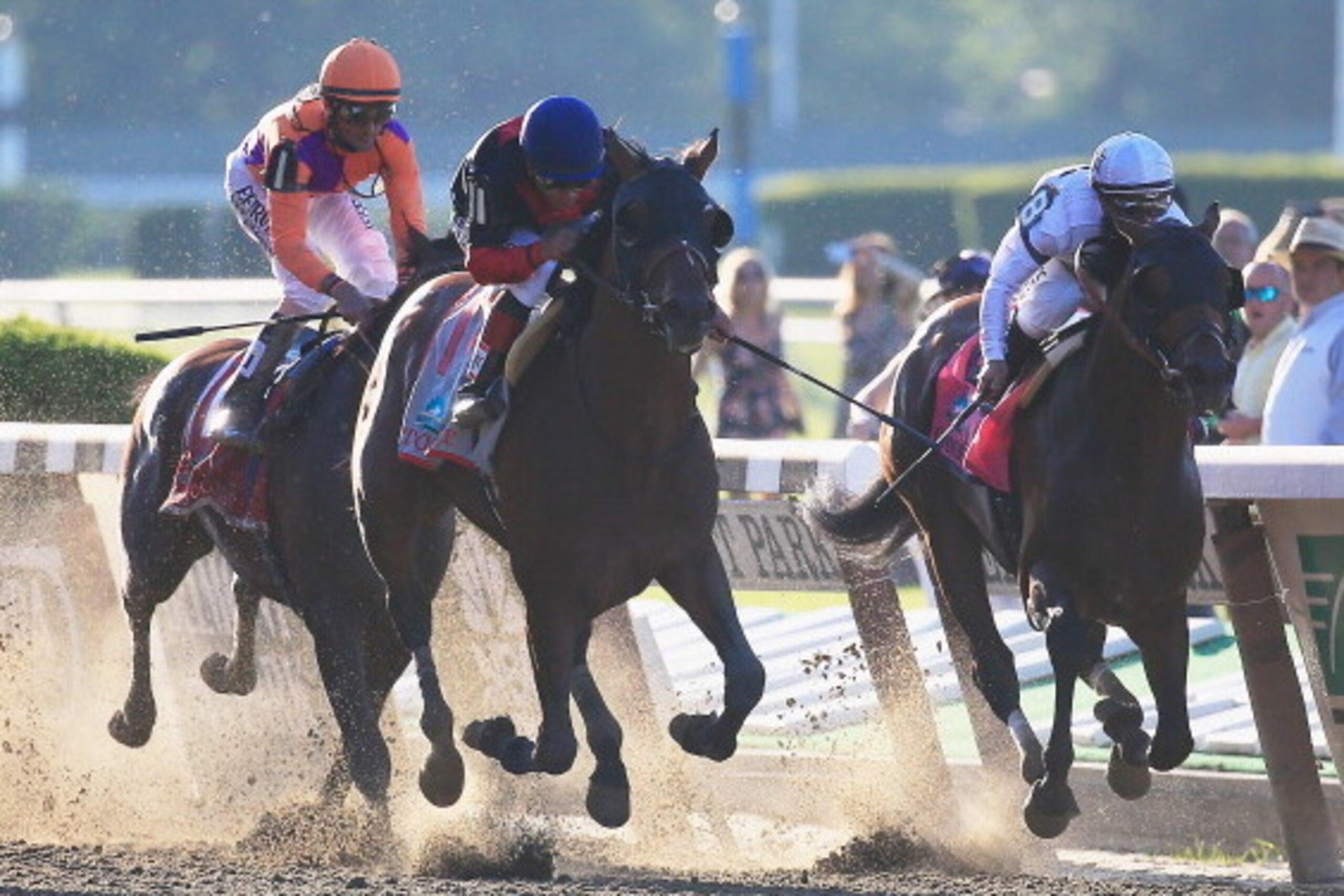 ELMONT, NY - JUNE 07: Tonalist #11 (C), ridden by Joel Rosario, races to the finish line enroute to winning the 146th running of the Belmont Stakes at Belmont Park on June 7, 2014 in Elmont, New York. (Photo by Rob Carr/Getty Images) ELMONT, NY - JUNE 07: Tonalist #11 (C), ridden by Joel Rosario, races to the finish line enroute to winning the 146th running of the Belmont Stakes at Belmont Park on June 7, 2014 in Elmont, New York. (Photo by Rob Carr/Getty Images)