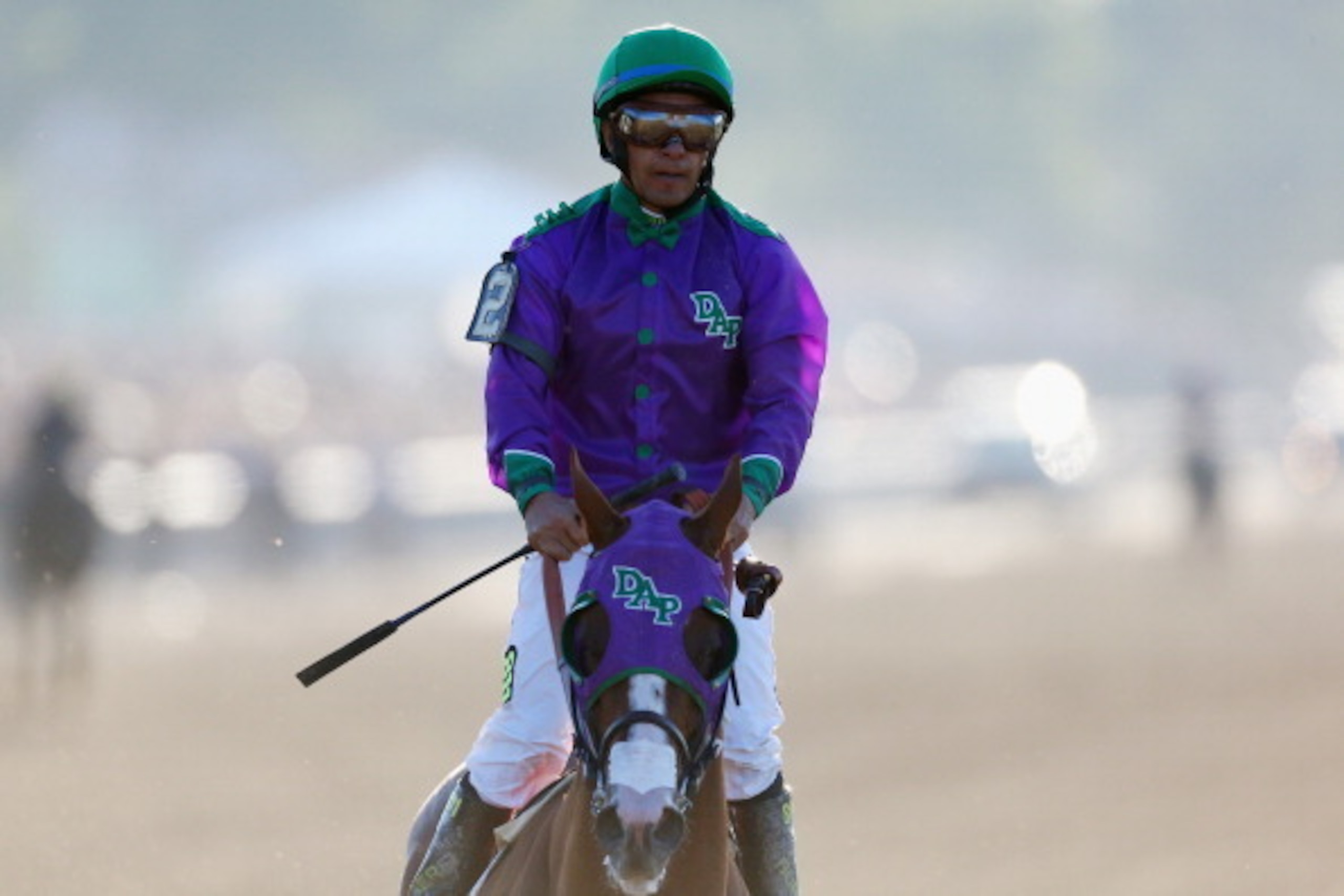 ELMONT, NY - JUNE 07:  California Chrome #2, ridden by Victor Espinoza, walks down the track after losing the 146th running of the Belmont Stakes at Belmont Park on June 7, 2014 in Elmont, New York.  (Photo by Streeter Lecka/Getty Images)