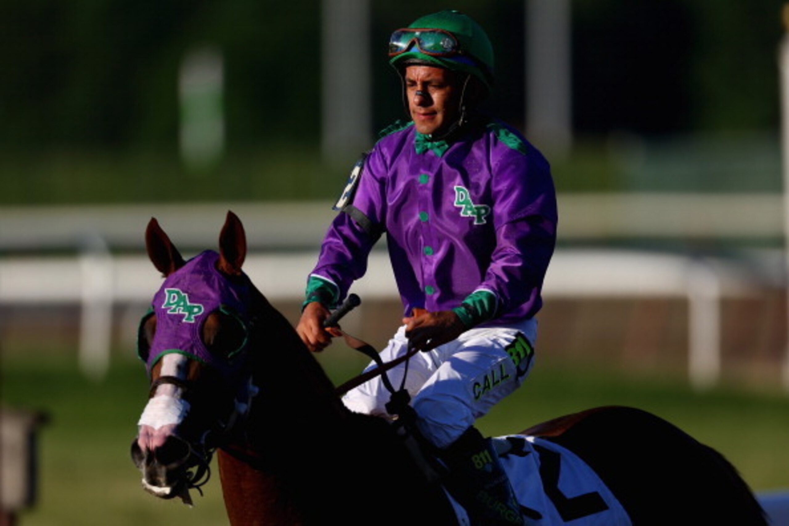 ELMONT, NY - JUNE 07:  California Chrome #2, ridden by Victor Espinoza, walks down the track after losing the 146th running of the Belmont Stakes at Belmont Park on June 7, 2014 in Elmont, New York.  (Photo by Streeter Lecka/Getty Images)