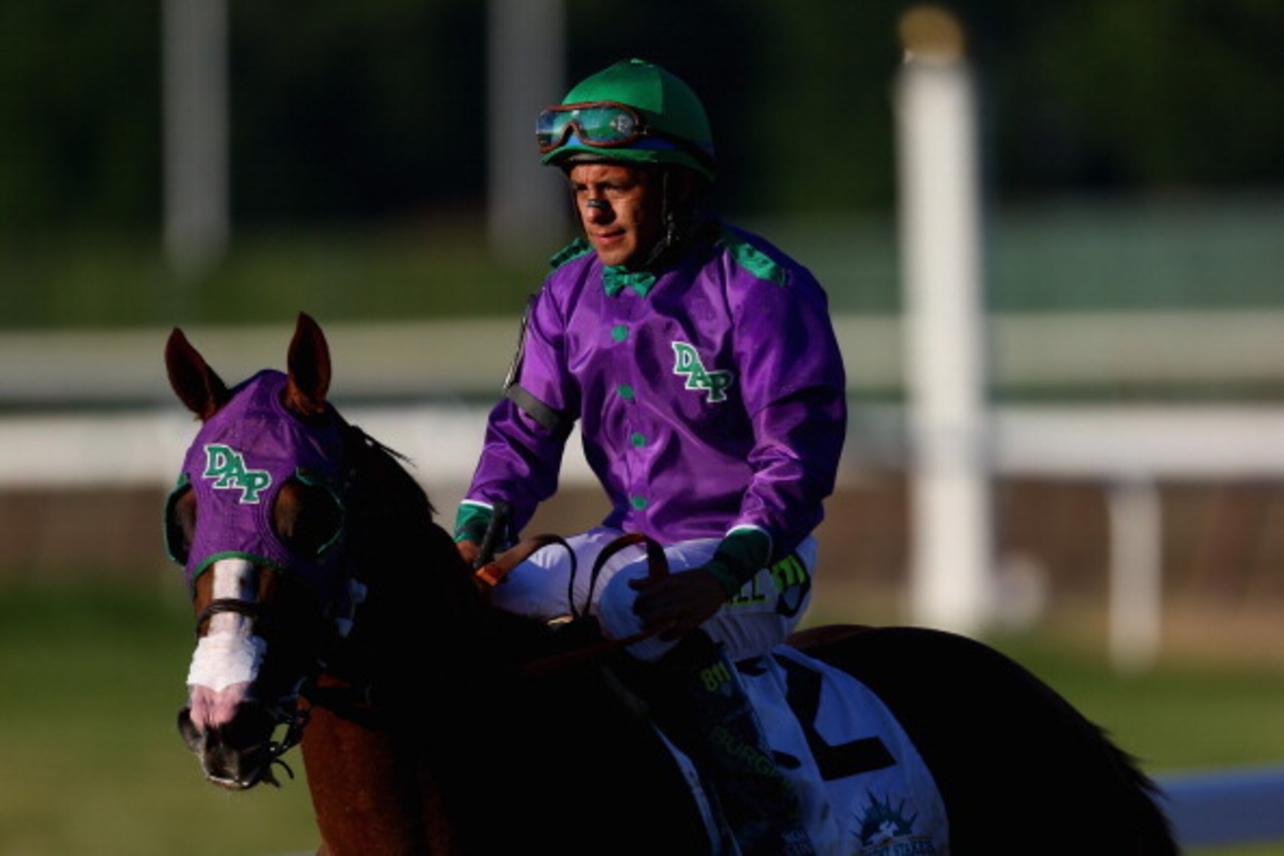 ELMONT, NY - JUNE 07:  California Chrome #2, ridden by Victor Espinoza, walks down the track after losing the 146th running of the Belmont Stakes at Belmont Park on June 7, 2014 in Elmont, New York.  (Photo by Streeter Lecka/Getty Images)