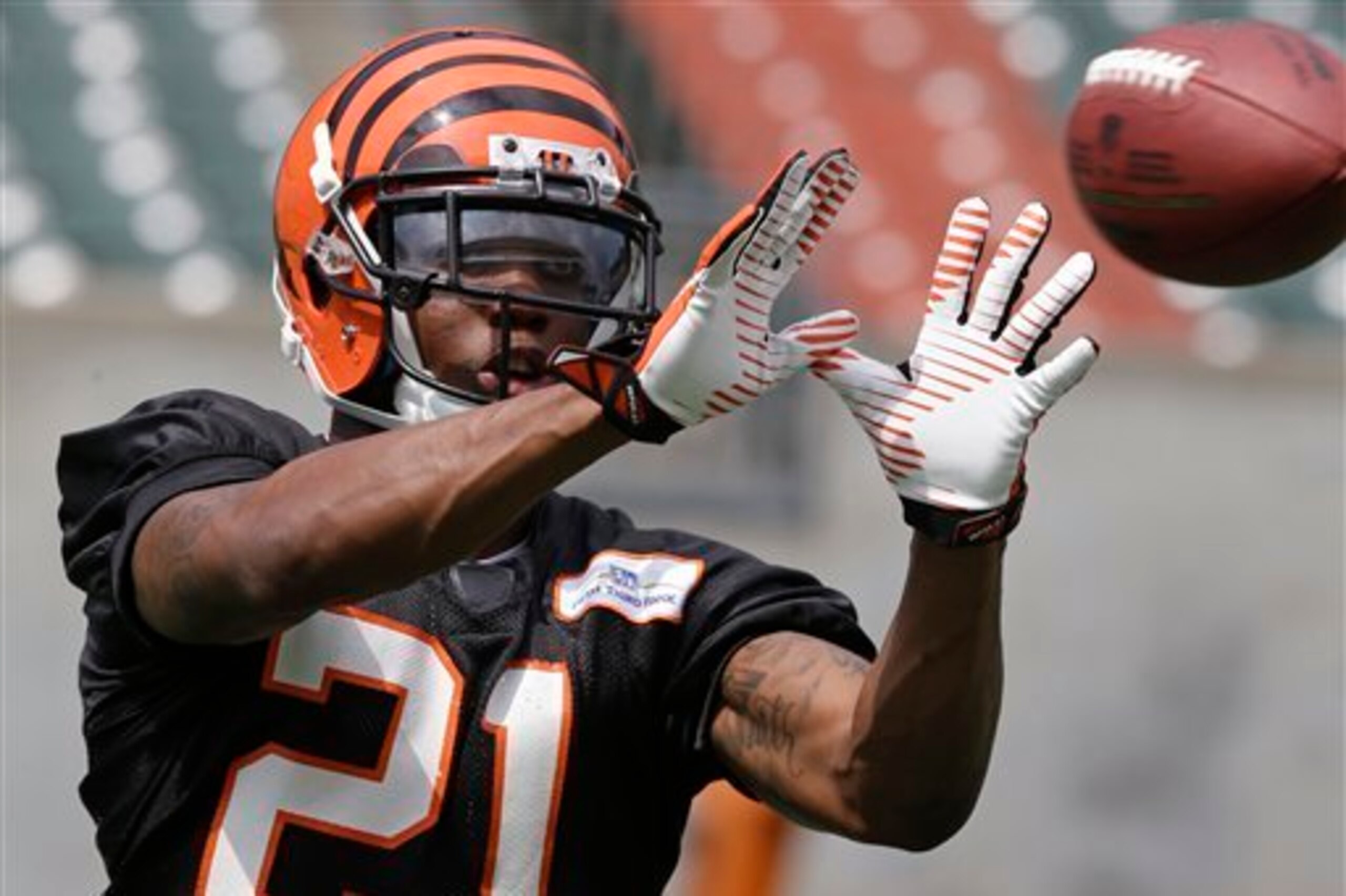 Rookie corner Darqueze Dennard has been working with the first-team defense, while Kirkpatrick has struggled to cover Brandon Tate. Rookie corner Darqueze Dennard has been working with the first-team defense, while Kirkpatrick has struggled to cover Brandon Tate.