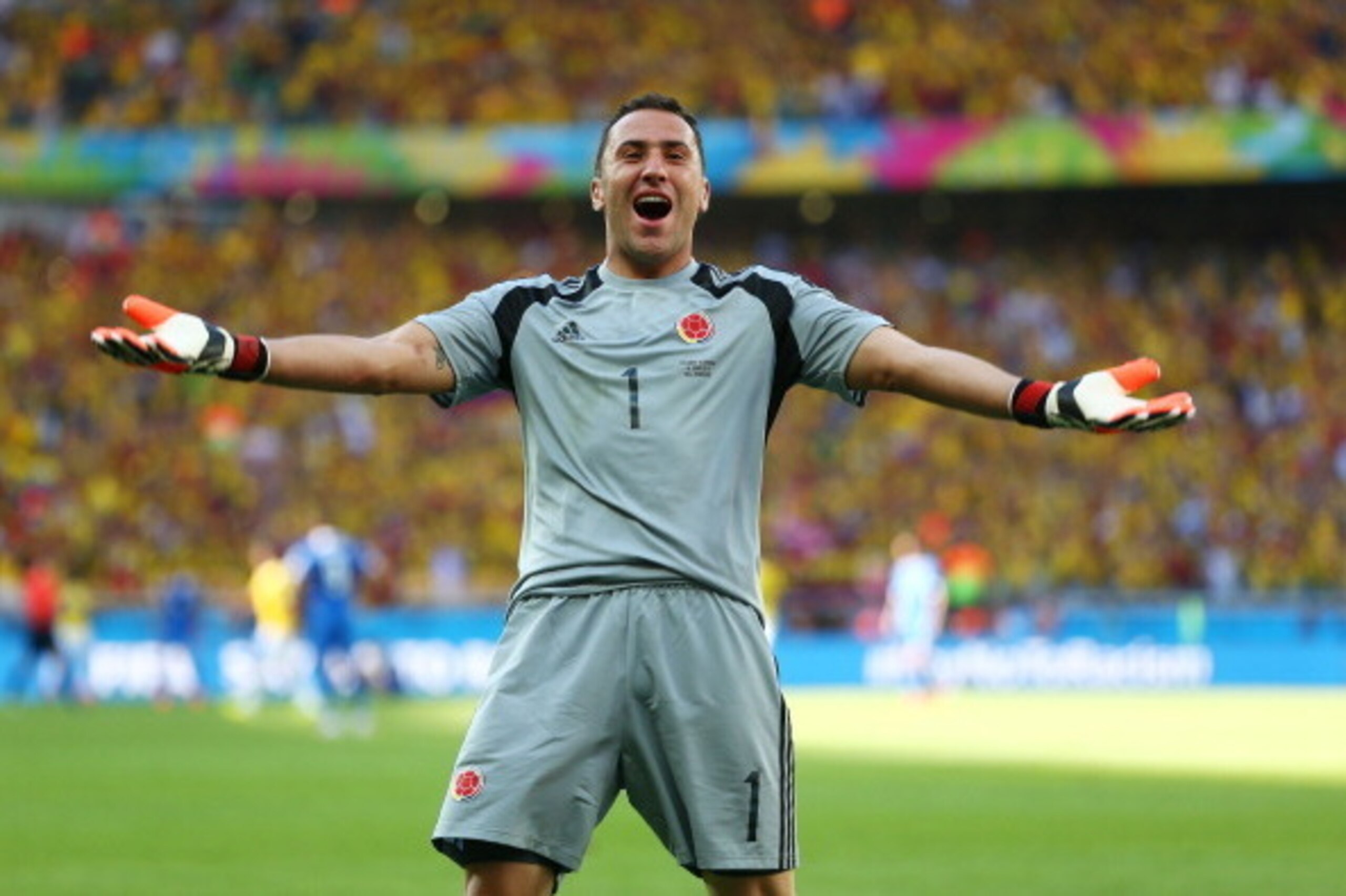 BELO HORIZONTE, BRAZIL - JUNE 14: David Ospina of Colombia reacts after defeating Greece 3-0 during the 2014 FIFA World Cup Brazil Group C match between Colombia and Greece at Estadio Mineirao on June 14, 2014 in Belo Horizonte, Brazil.  (Photo by Quinn R
