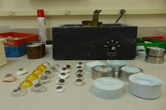 A sampling of the prosthetic eyes Randy Trawnik designs at his clinic in Dallas.