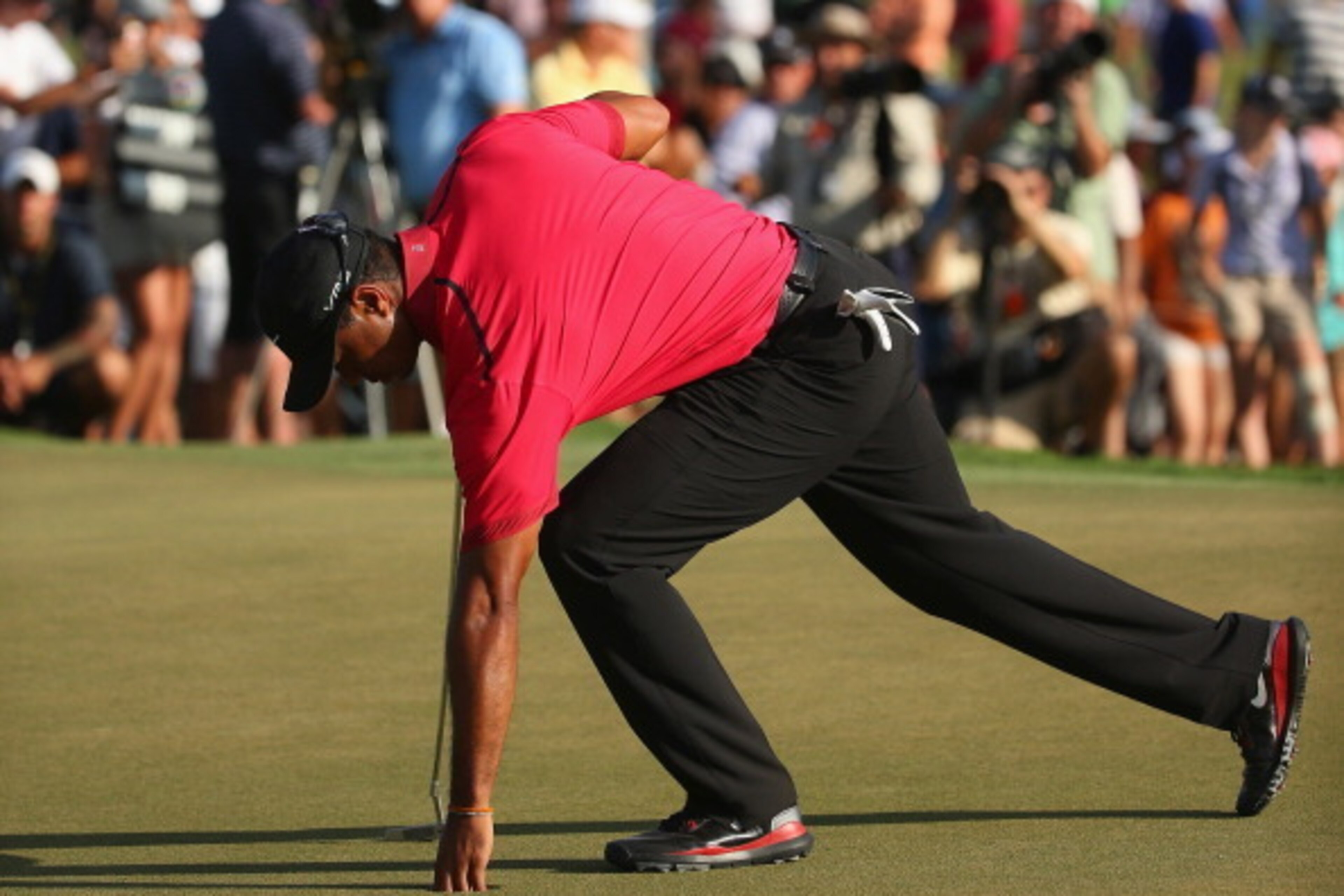 DORAL, FL - MARCH 09:  Tiger Woods collects his golf ball during the final round of the World Golf Championships-Cadillac Championship at Trump National Doral on March 9, 2014 in Doral, Florida.  (Photo by Mike Ehrmann/Getty Images)
