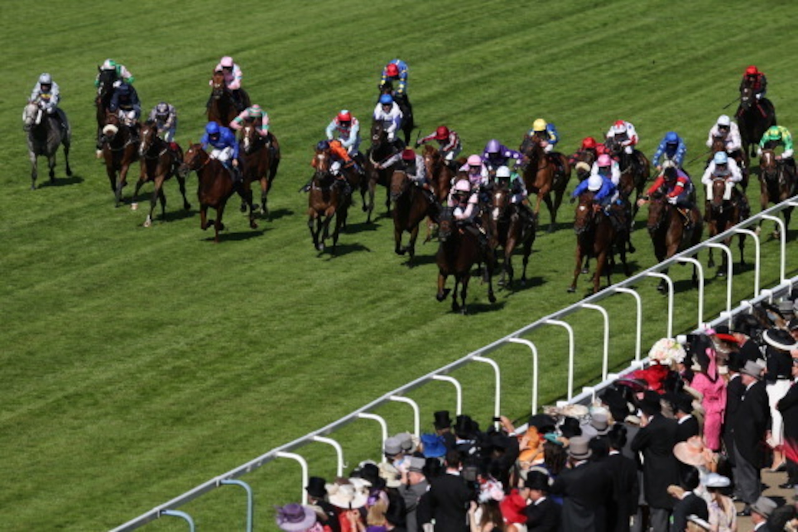 ASCOT, ENGLAND - JUNE 18: The Field in action during the Royal Hunt Cup on day two of Royal Ascot at Ascot Racecourse on June 18, 2014 in Ascot, England. (Photo by Steve Bardens/Getty Images)
