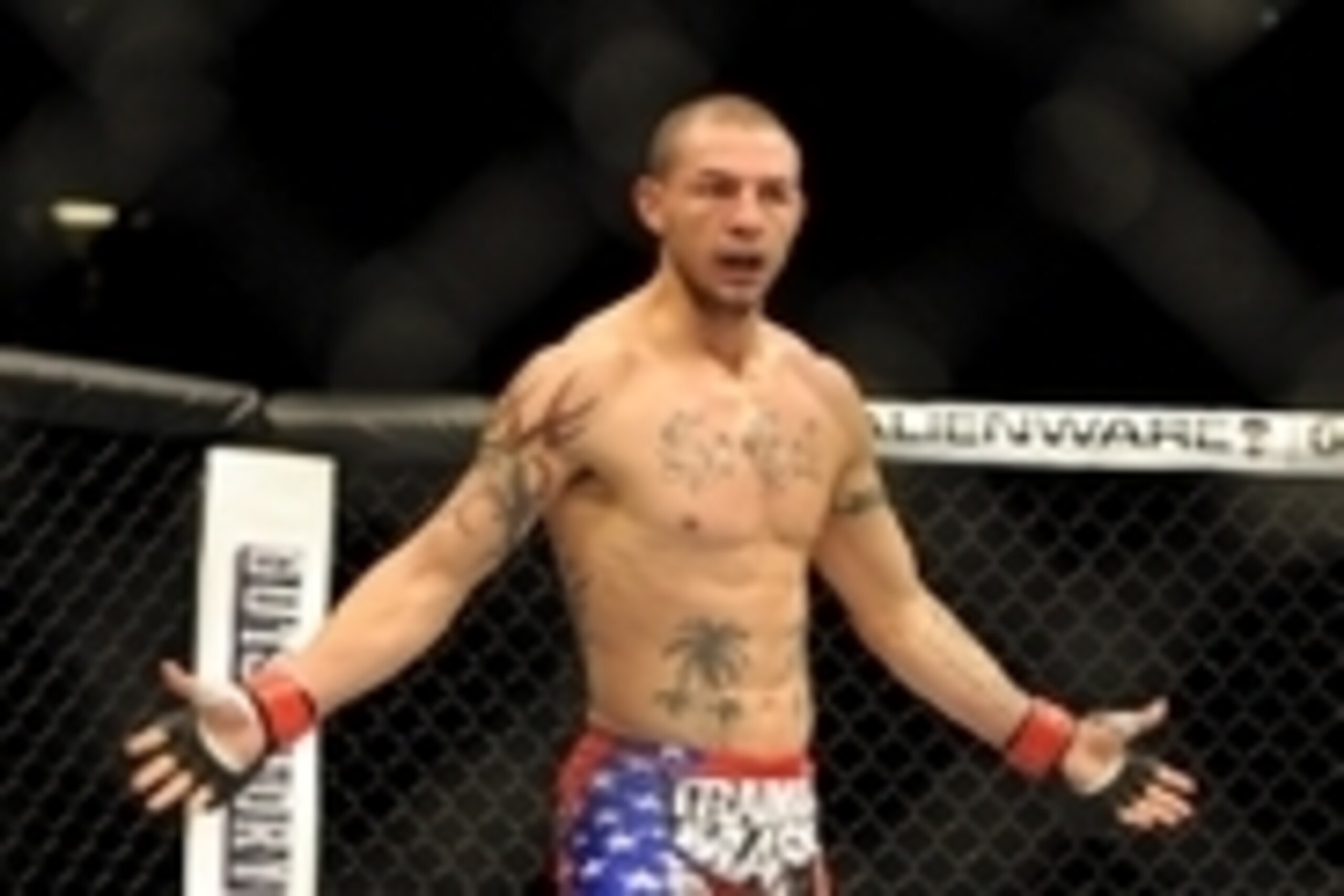 Jul 6, 2013; Las Vegas, NV, USA;   Cub Swanson in the cage defeating Dennis Siver (not pictured) in his UFC Featherweight Bout at the MGM Grand Garden Arena.  Mandatory Credit: Jayne Kamin-Oncea-USA TODAY Sports