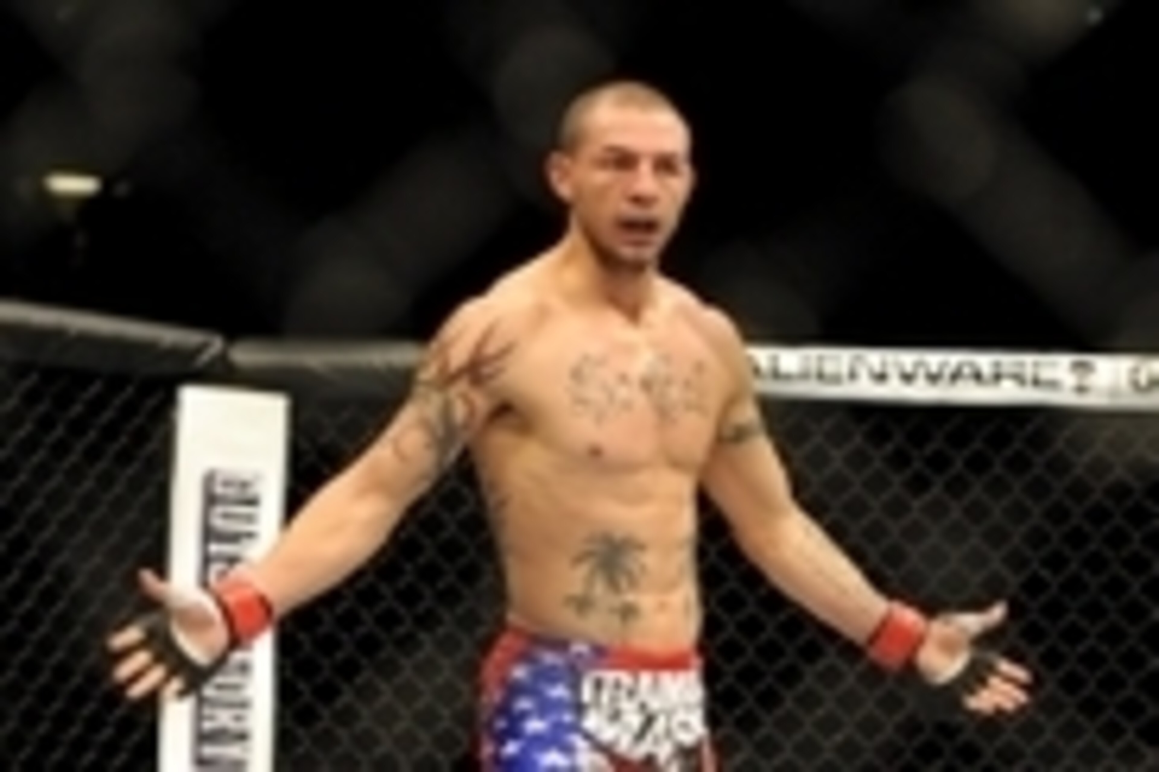 Jul 6, 2013; Las Vegas, NV, USA;   Cub Swanson in the cage defeating Dennis Siver (not pictured) in his UFC Featherweight Bout at the MGM Grand Garden Arena.  Mandatory Credit: Jayne Kamin-Oncea-USA TODAY Sports