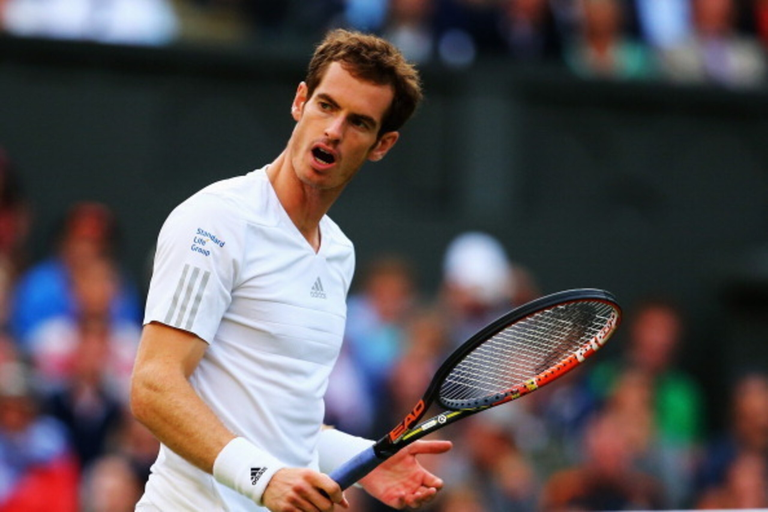 LONDON, ENGLAND - JUNE 27:  Andy Murray of Great Britain urges himself on during his Gentlemen's Singles third round match against Roberto Bautista Agut of Spain on day five of the Wimbledon Lawn Tennis Championships at the All England Lawn Tennis and Cro