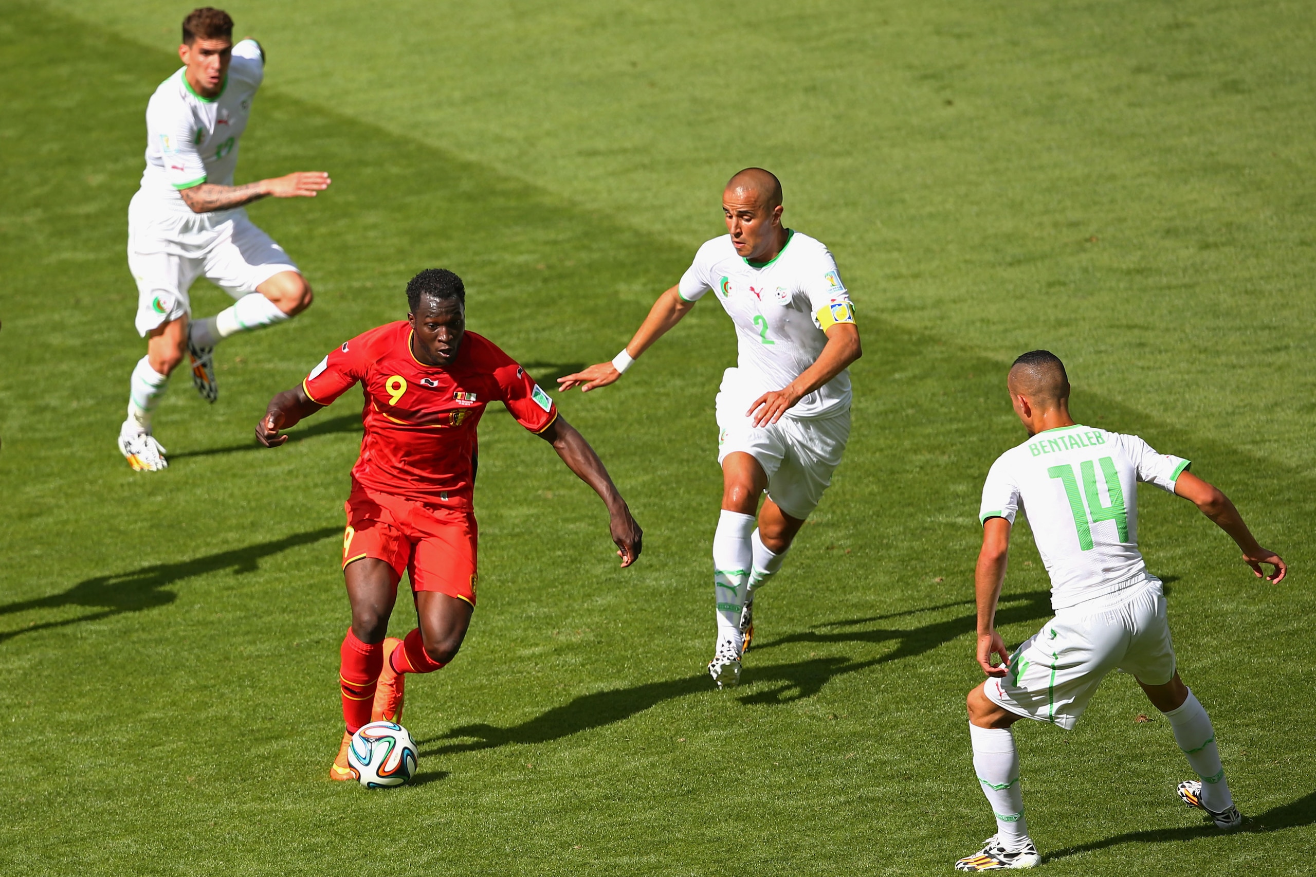 BELO HORIZONTE, BRAZIL - JUNE 17:  Romelu Lukaku of Belgium takes on Madjid Bougherra of Algeria during the 2014 FIFA World Cup Brazil Group H match between Belgium and Algeria at Estadio Mineirao on June 17, 2014 in Belo Horizonte, Brazil.  (Photo by Qui