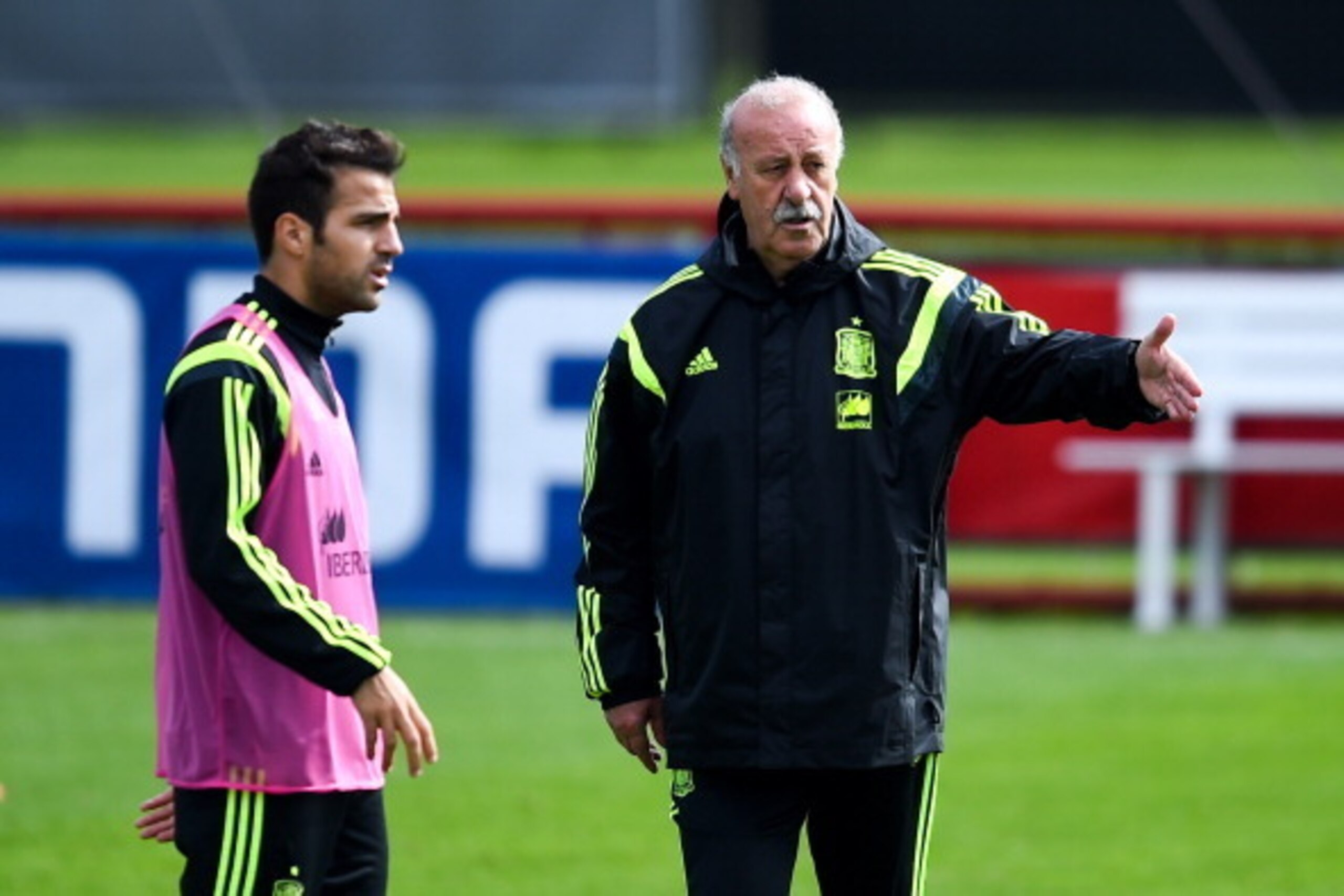 CURITIBA, BRAZIL - JUNE 21:  Head coach Vicente Del Bosque and Cesc Fabregas of Spain chat during a Spain training session at Centro de Entrenamiento do Caju on June 21, 2014 in Curitiba, Brazil.  (Photo by David Ramos/Getty Images)