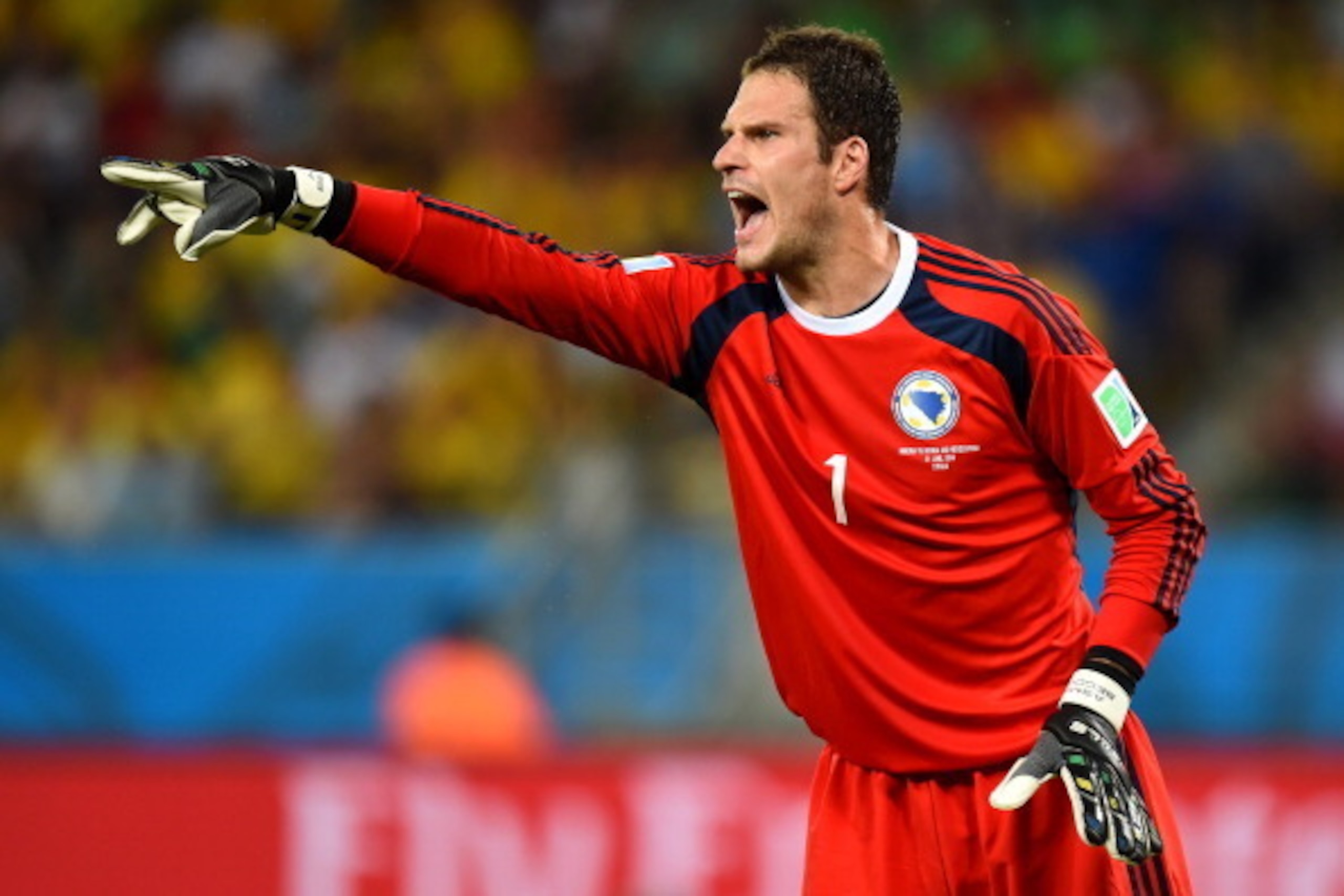 CUIABA, BRAZIL - JUNE 21:  Asmir Begovic of Bosnia and Herzegovina reacts during the 2014 FIFA World Cup Group F match between Nigeria and Bosnia-Herzegovina at Arena Pantanal on June 21, 2014 in Cuiaba, Brazil.  (Photo by Stu Forster/Getty Images)