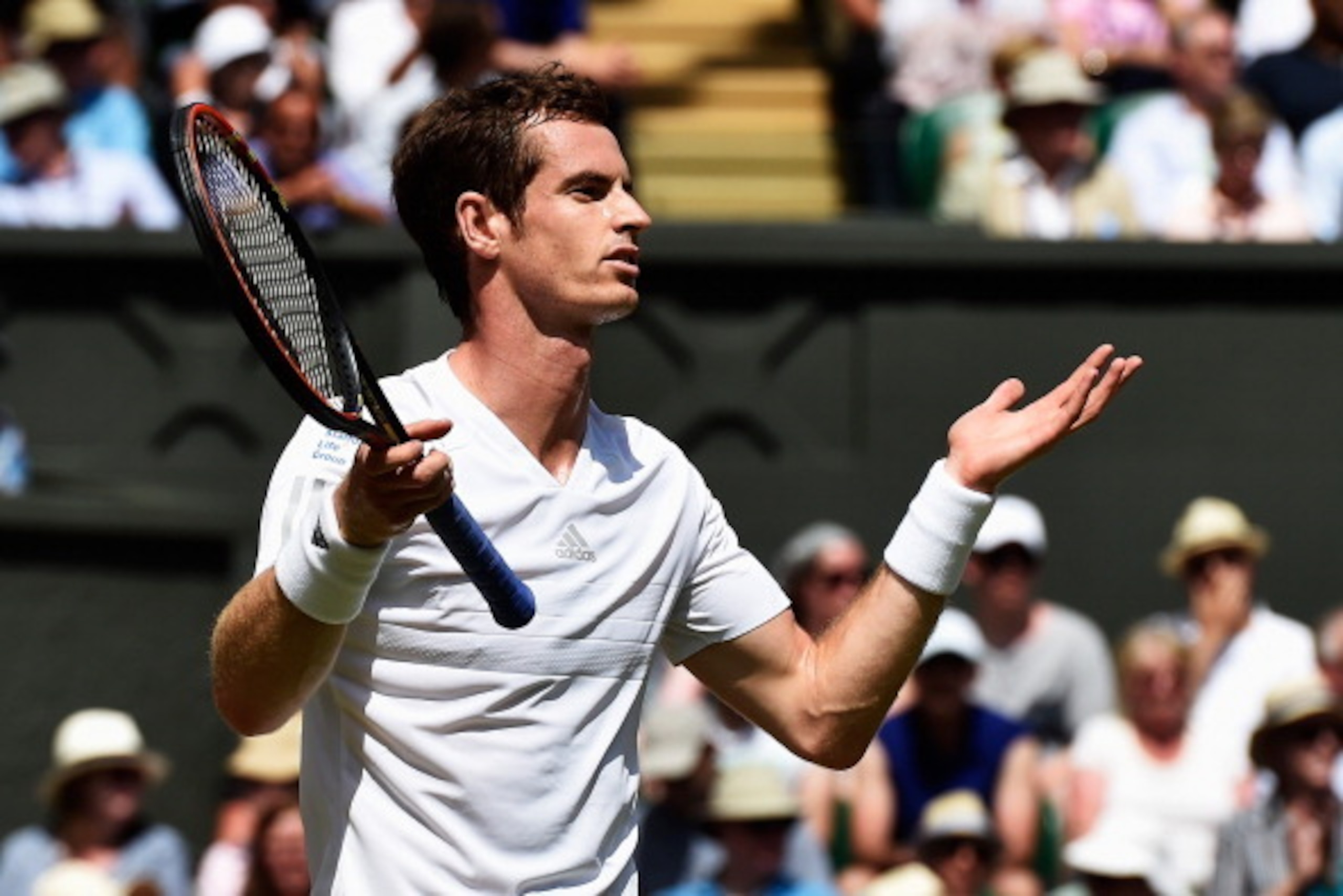 LONDON, ENGLAND - JULY 02:  Andy Murray of Great Britain gestures during his Gentlemen's Singles quarter-final match against Grigor Dimitrov of Bulgaria on day nine of the Wimbledon Lawn Tennis Championships at the All England Lawn Tennis and Croquet Club