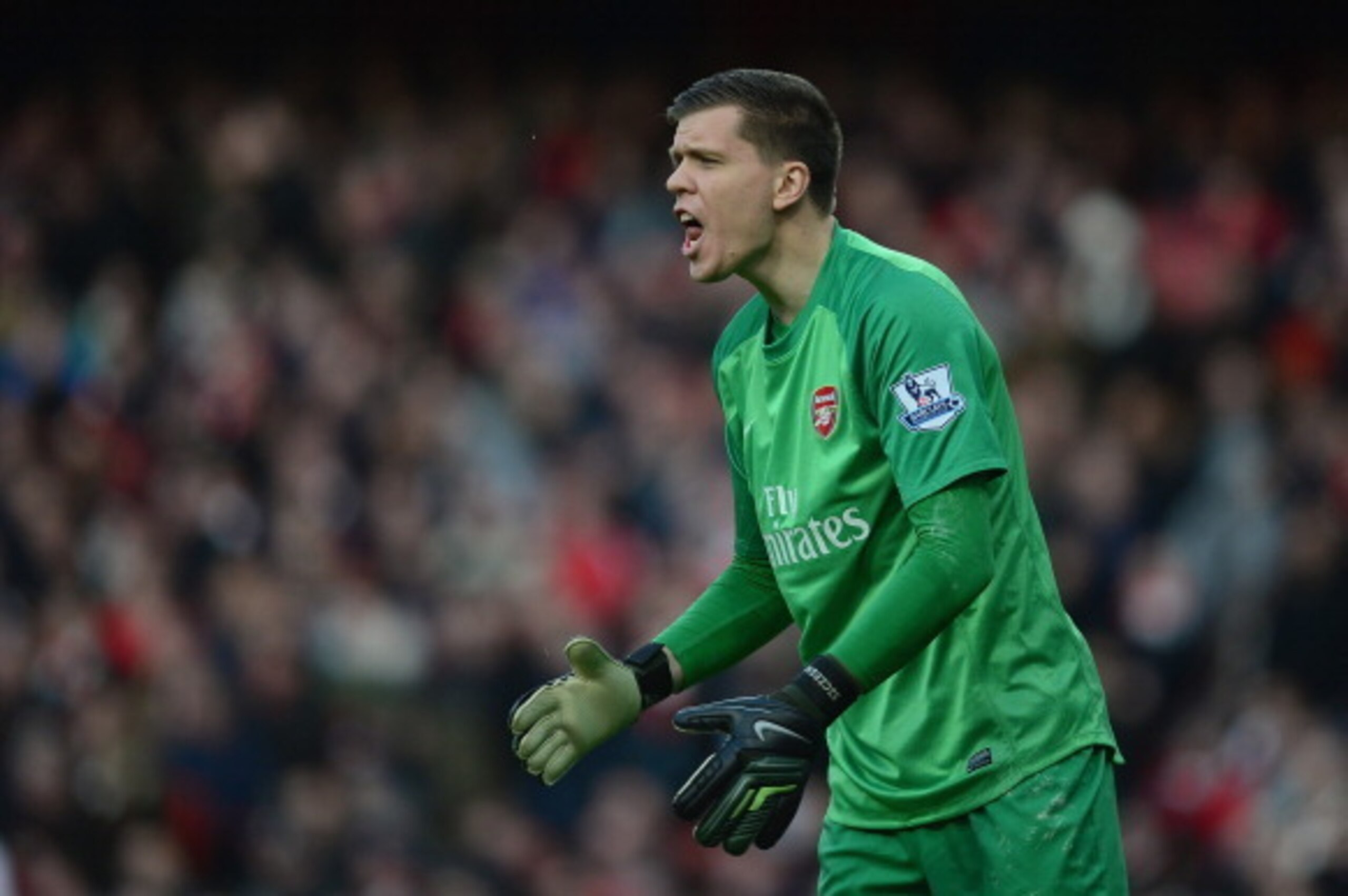 LONDON, ENGLAND - FEBRUARY 22:  Wojciech Szczesny of Arsenal in action during the Barclays Premier League match between Arsenal and Sunderland at Emirates Stadium on February 22, 2014 in London, England.  (Photo by Jamie McDonald/Getty Images)