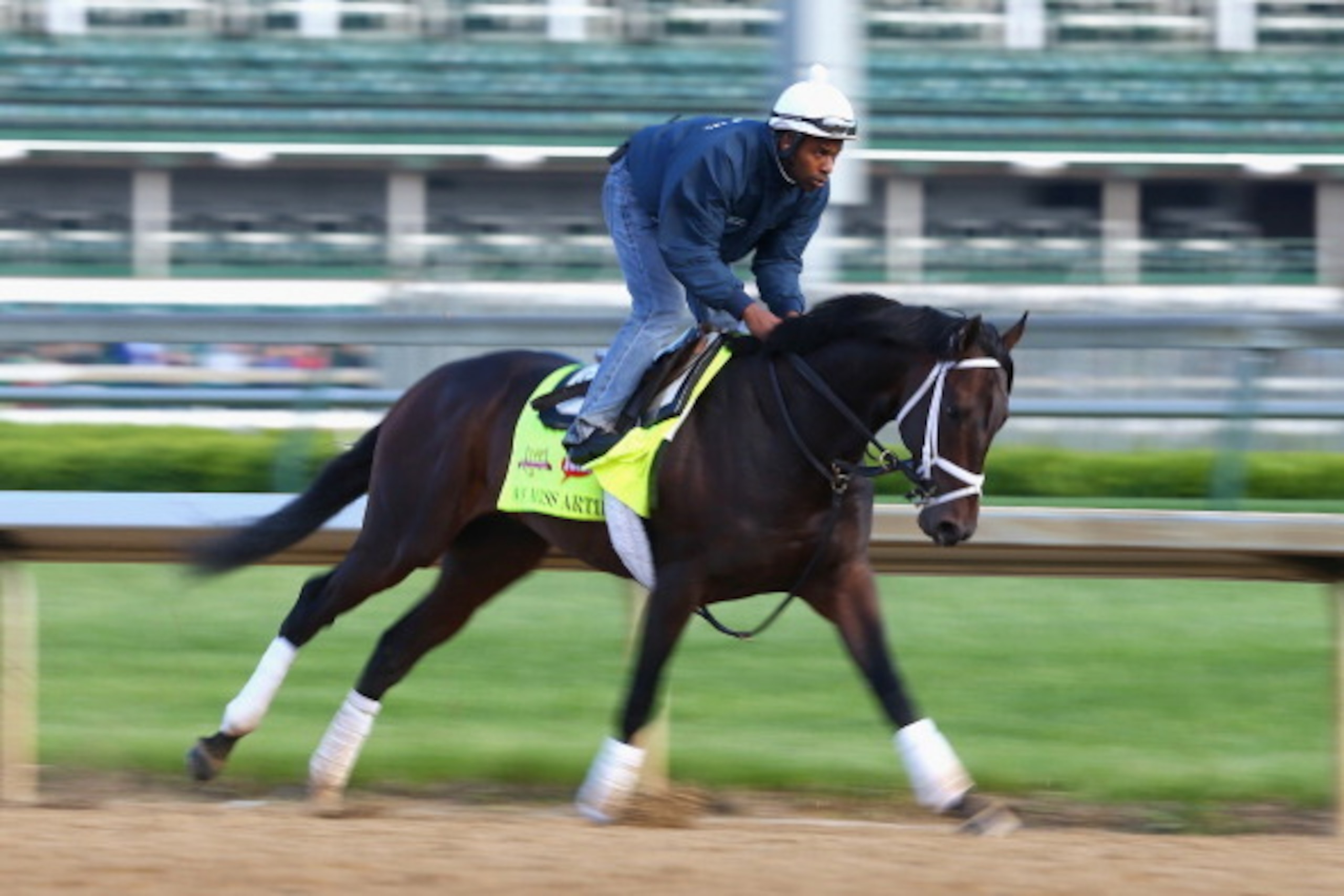 LOUISVILLE, KY - MAY 01: We Miss Artie runs on the track during the morning training for the Kentucky Derby at Churchill Downs on May 1, 2014 in Louisville, Kentucky.  (Photo by Andy Lyons/Getty Images)