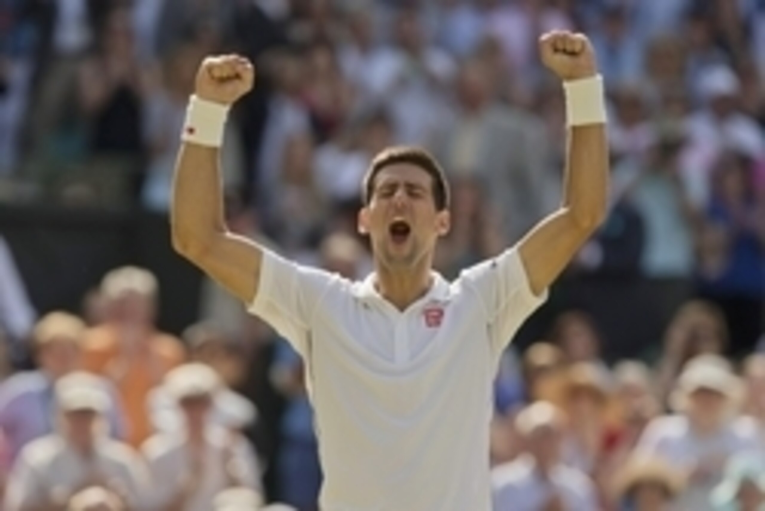 Jul 4, 2014; London, United Kingdom; Novak Djokovic (SRB) celebrates recording match point in his match against Grigor Dimitrov (BUL) on day 11 of the 2014 Wimbledon Championships at the All England Lawn and Tennis Club. Mandatory Credit: Susan Mullane-US