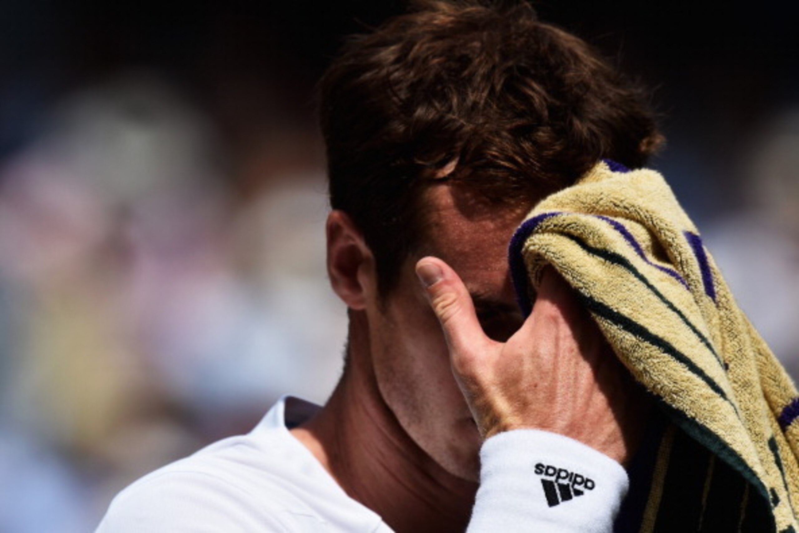 LONDON, ENGLAND - JULY 02:  Andy Murray of Great Britain reacts during his Gentlemen's Singles quarter-final match against Grigor Dimitrov of Bulgaria on day nine of the Wimbledon Lawn Tennis Championships at the All England Lawn Tennis and Croquet Club  