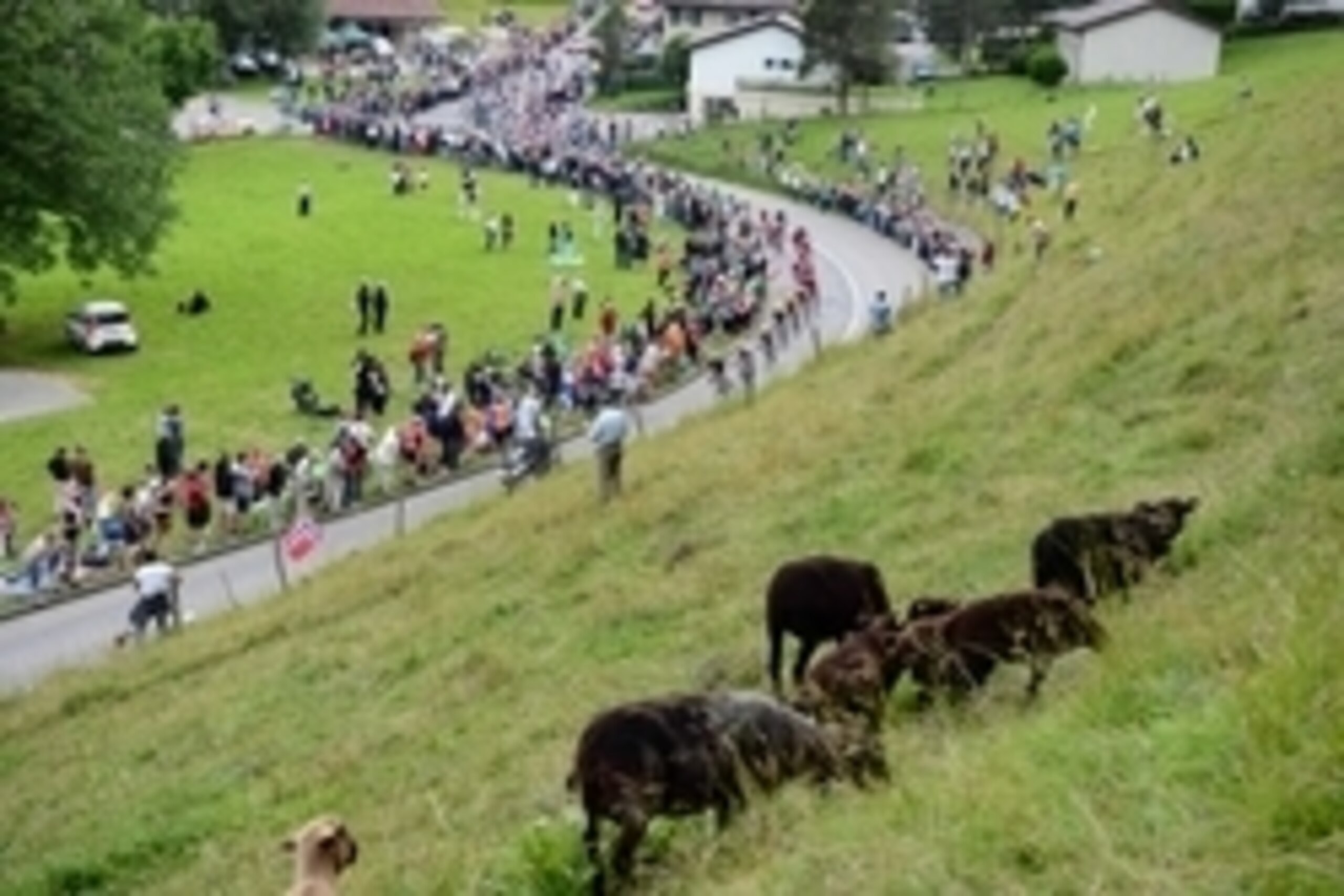 July 8, 2012; Belfort-Porrentruy, FRANCE; A general view of the peloton during stage eight of the 2012 Tour de France between Belfort and Porrentruy.  Mandatory Credit: Bernard Prevost/Presse Sports via USA TODAY Sports