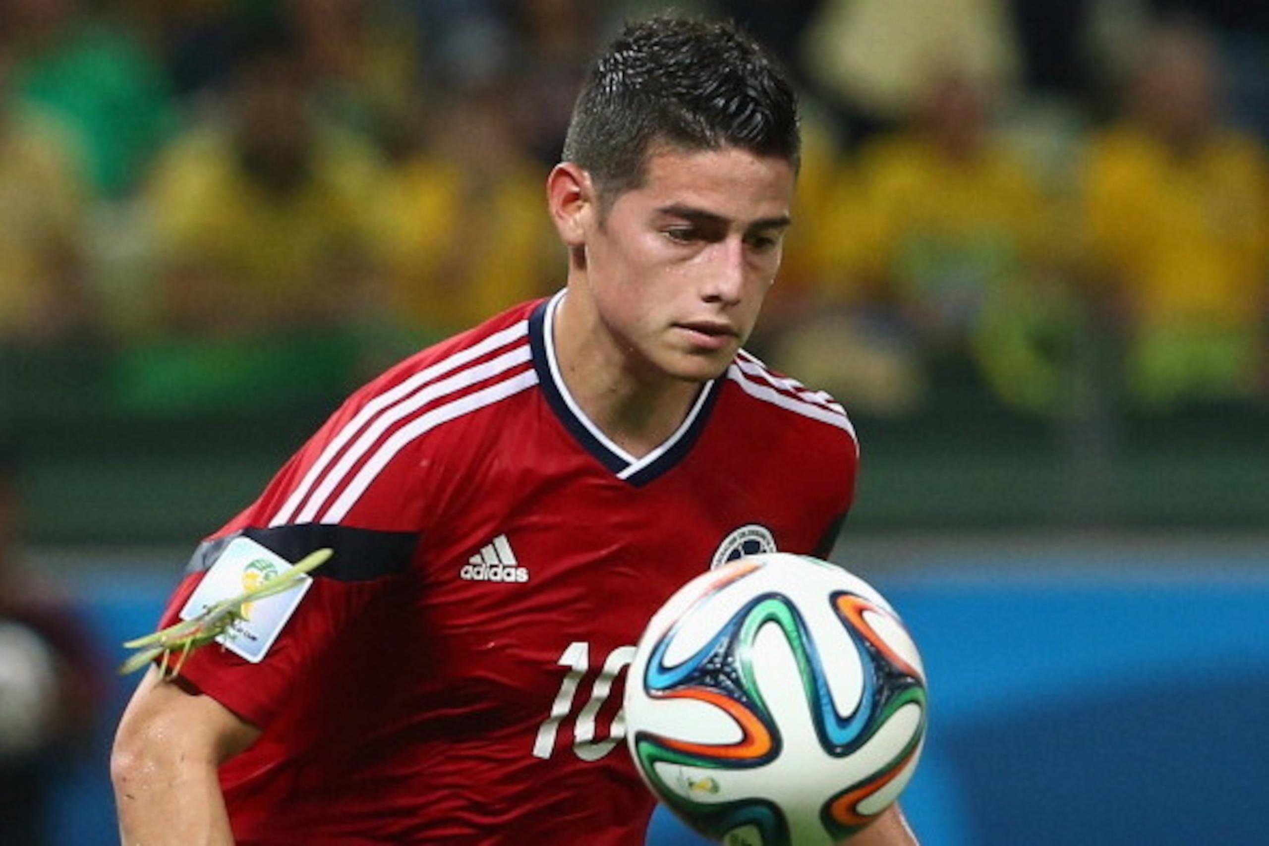 FORTALEZA, BRAZIL - JULY 04:  A bug lands on the arm of James Rodriguez of Colombia as he celebrates scoring his team's first goal on a penalty kick during the 2014 FIFA World Cup Brazil Quarter Final match between Brazil and Colombia at Castelao on July 