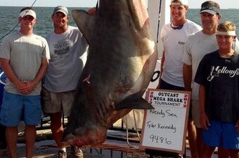 Rutledge, second from left, also was part of a record tiger shark catch.