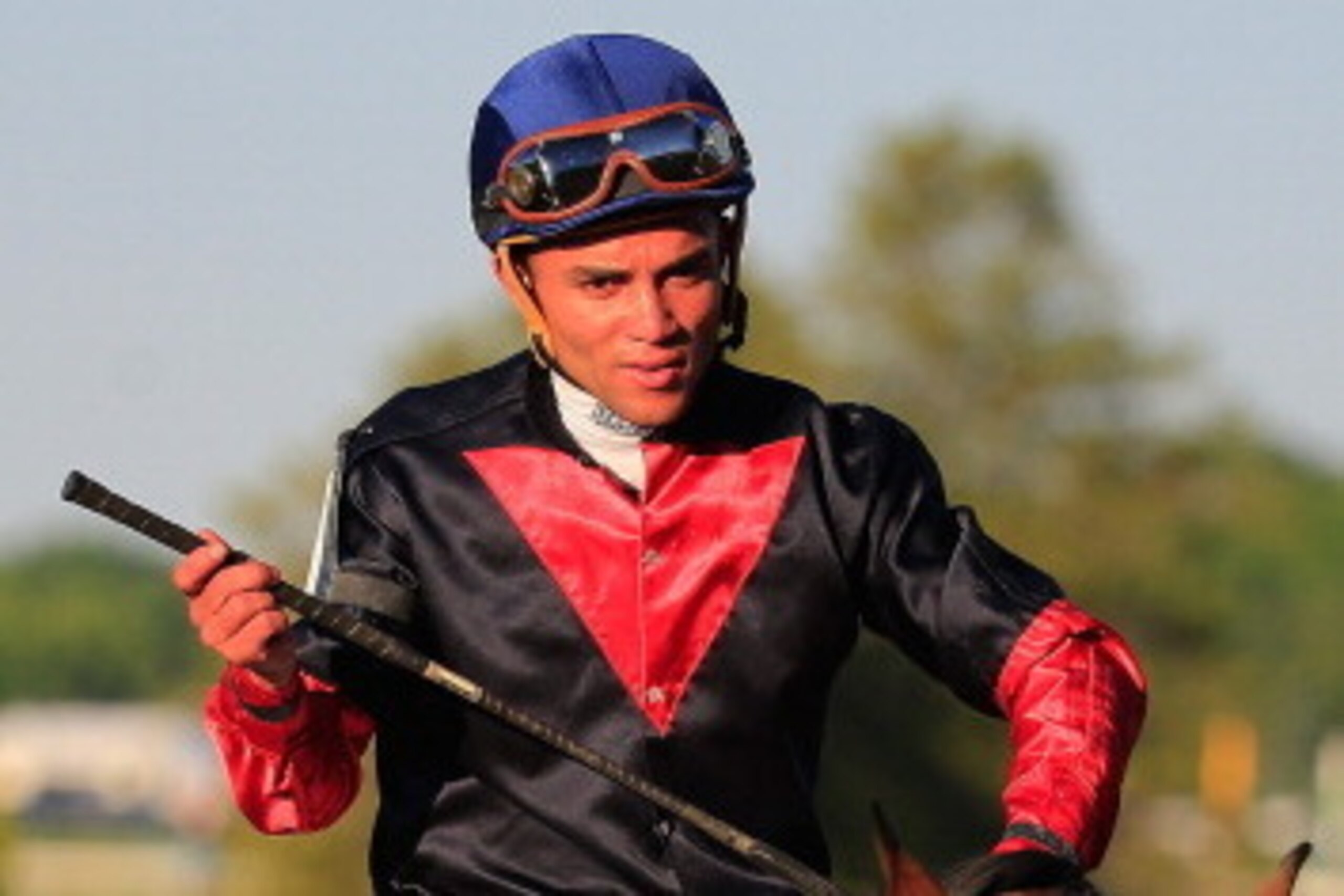 ELMONT, NY - JUNE 07:  Tonalist #11, ridden by Joel Rosario, celebrates in the after winning the 146th running of the Belmont Stakes at Belmont Park on June 7, 2014 in Elmont, New York.  (Photo by Rob Carr/Getty Images)