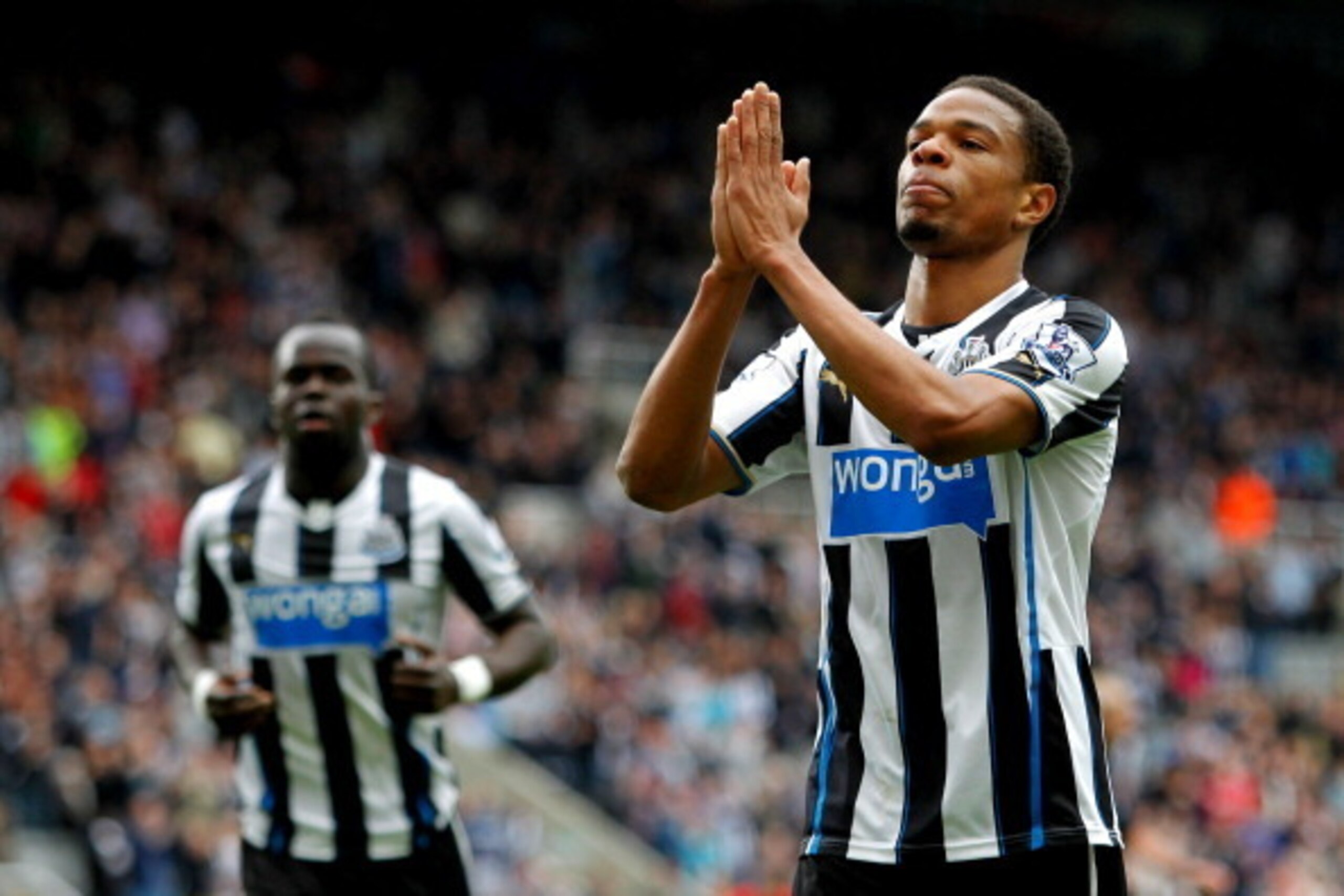 NEWCASTLE, ENGLAND-  May 03: Loic Remy of Newcastle celebrates scoring during the Barclays Premier League match between Newcastle United and Cardiff City at St. James'  Park on May 03, 2014  in Newcastle upon Tyne, England. (Photo by Richard Sellers/Getty