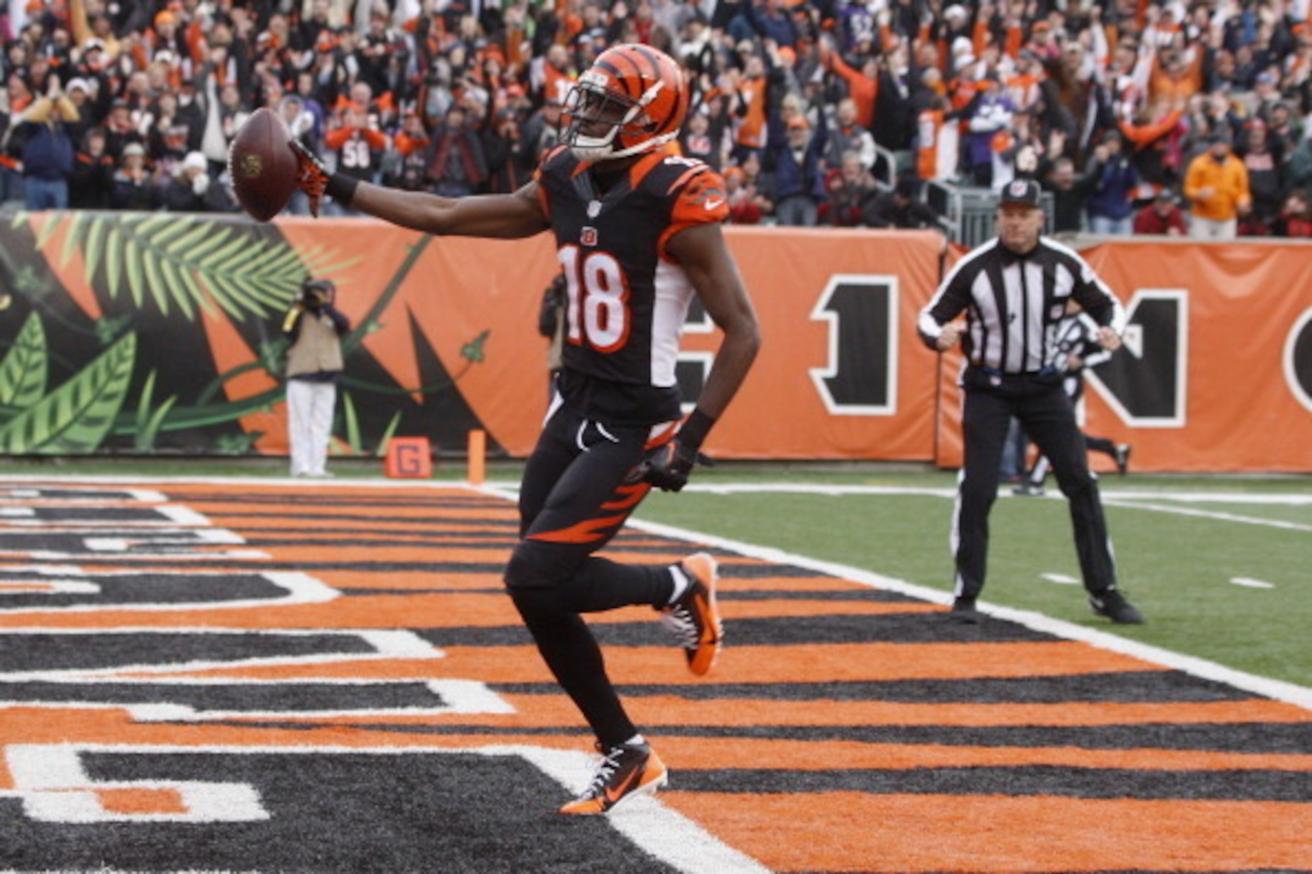 CINCINNATI, OH - DECEMBER 29:  A.J. Green #18 of the Cincinnati Bengals scores a first half touchdown during the game against the Baltimore Ravens at Paul Brown Stadium on December 29, 2013 in Cincinnati, Ohio.  The Bengals defeated the Ravens 34-17.  (Ph