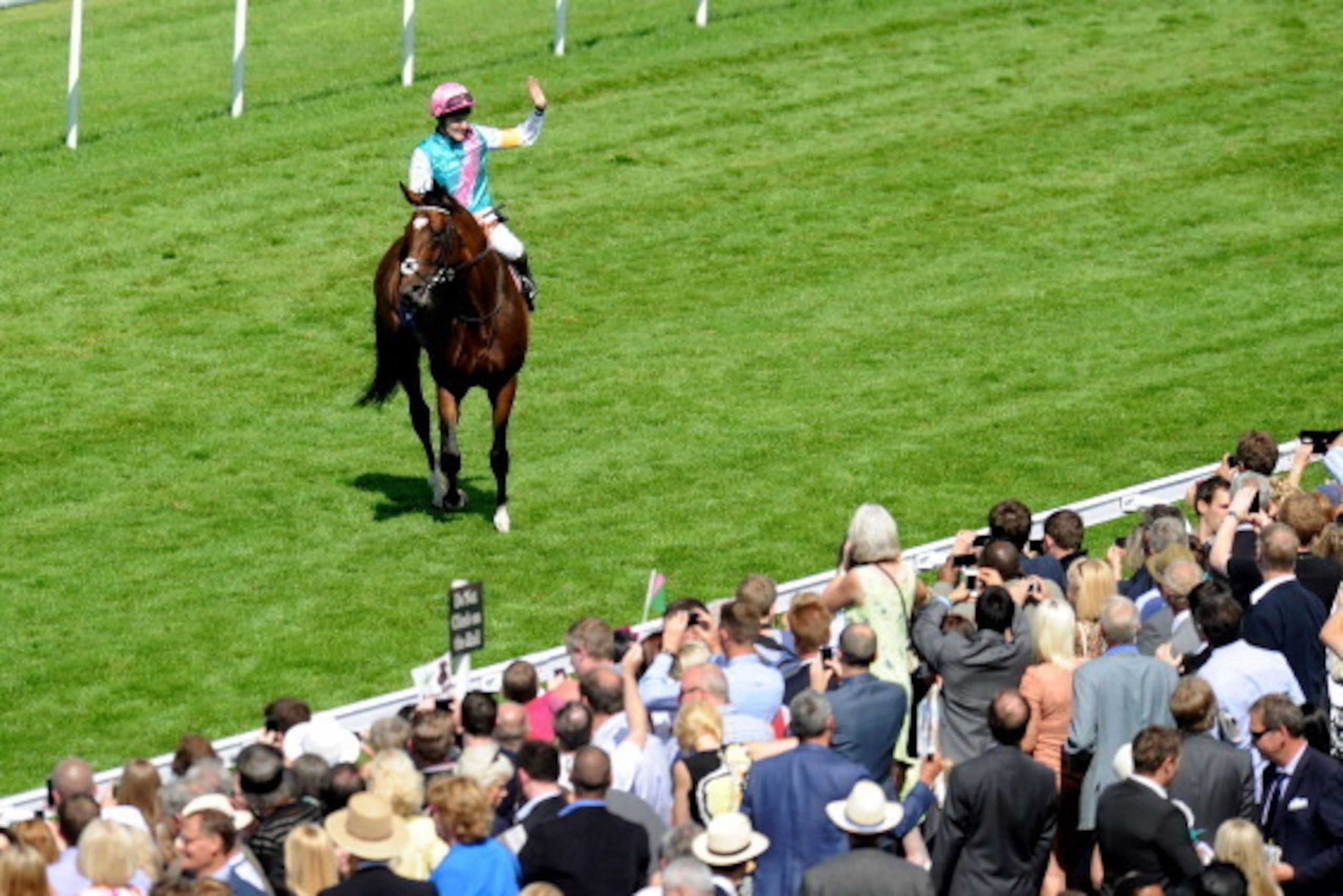 CHICHESTER, ENGLAND - AUGUST 01:  Tom Queally riding Frankel returns after winning the Qipco Sussex Stakes at Goodwood racecourse on August 01, 2012 in Chichester, England. (Photo by Alan Crowhurst/Getty Images)