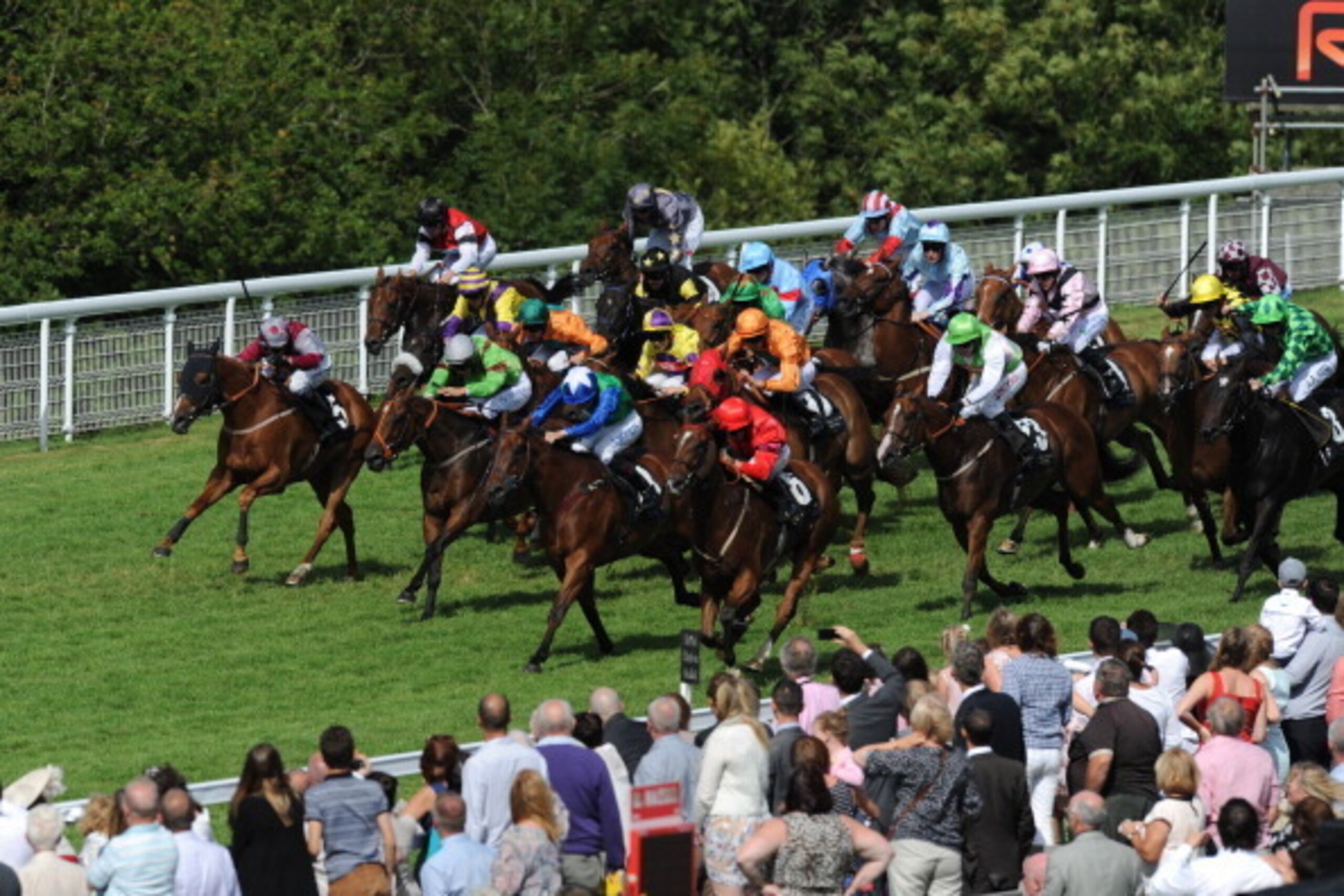 CHICHESTER, ENGLAND - AUGUST 03: A General view of the field in action during the Robins Farm Steward's Cup at Goodwood on August 3, 2013 in Chichester, England. (Photo by Steve Bardens/Getty Images)