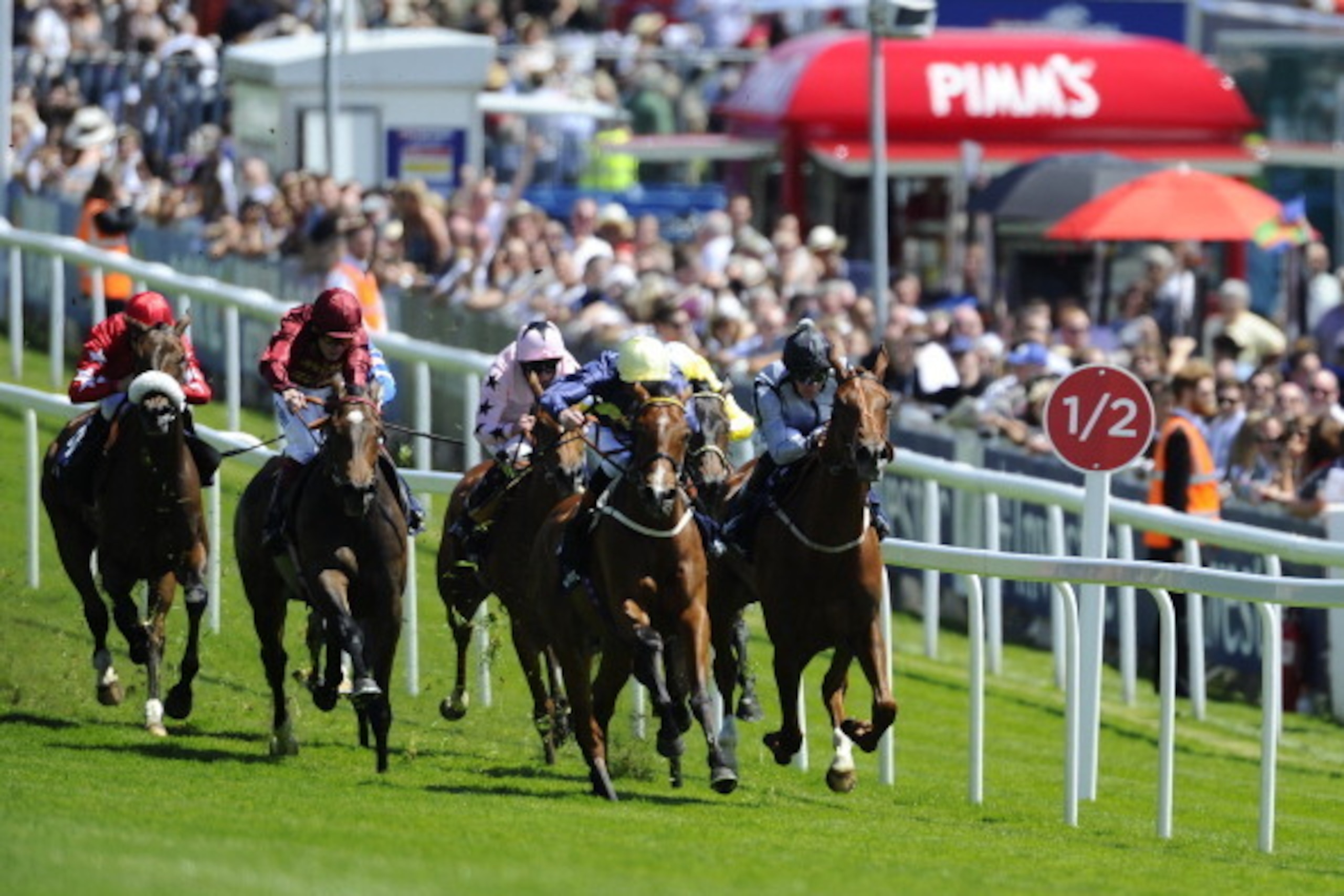 EPSOM, ENGLAND - JUNE 06: James Doyle riding Thistle Bird (C, yellow cap) win The Princess Elizabeth Stakesat Epsom racecourse on June 06, 2014 in Epsom, England. (Photo by Alan Crowhurst/Getty Images)