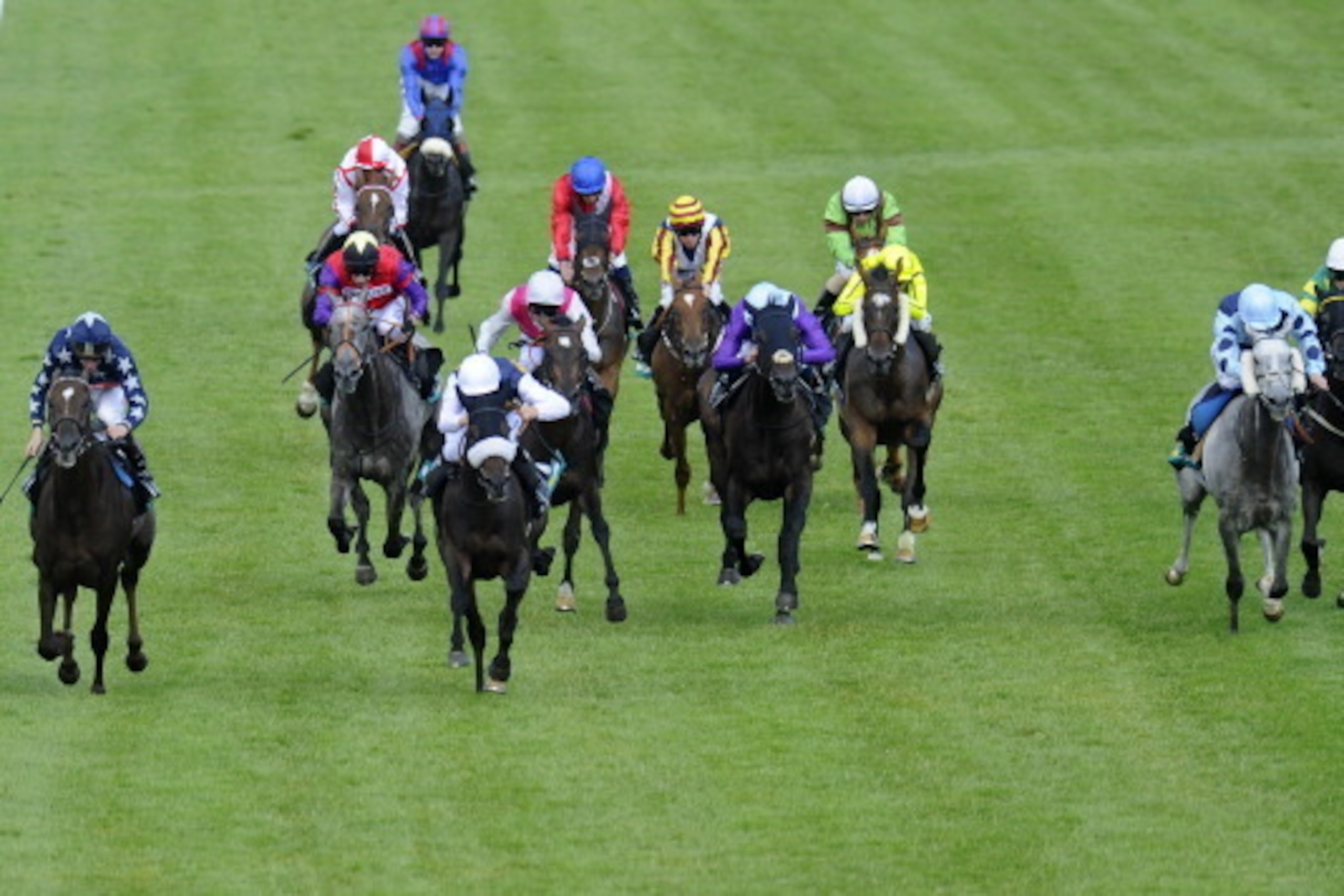CHICHESTER, ENGLAND - JULY 29: David Probert riding Van Percy (C, white cap) win The bet365 Summer Mile at Goodwood racecourse on July 29, 2014 in Chichester, England. (Photo by Alan Crowhurst/Getty Images)