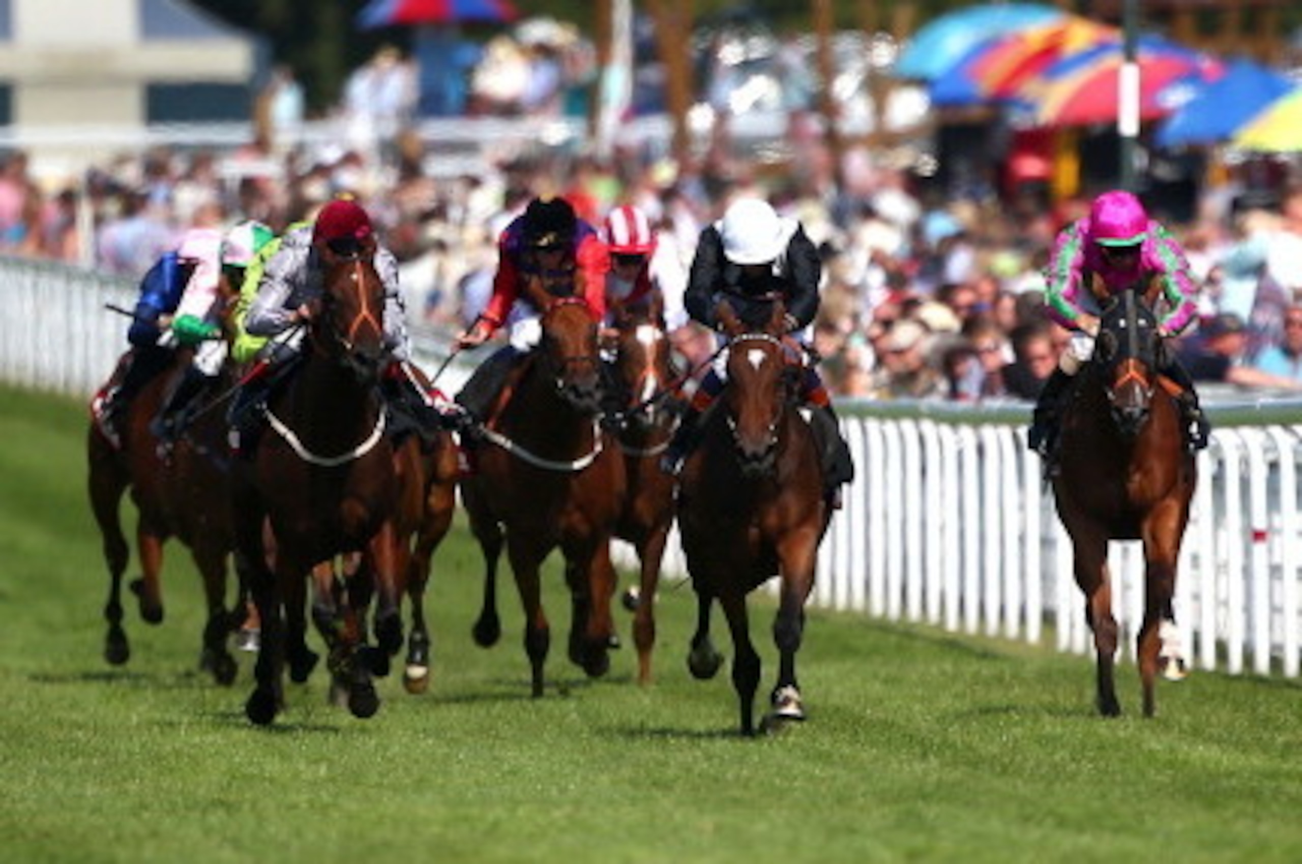 CHICHESTER, ENGLAND - JULY 30: Richard Kingscote riding Royal Razalma (R, blue cap) wins The Markel Insurance Maiden Fillies' Stakes at Goodwood racecourse on July 30, 2014 in Chichester, England. (Photo by Charlie Crowhurst/Getty Images)